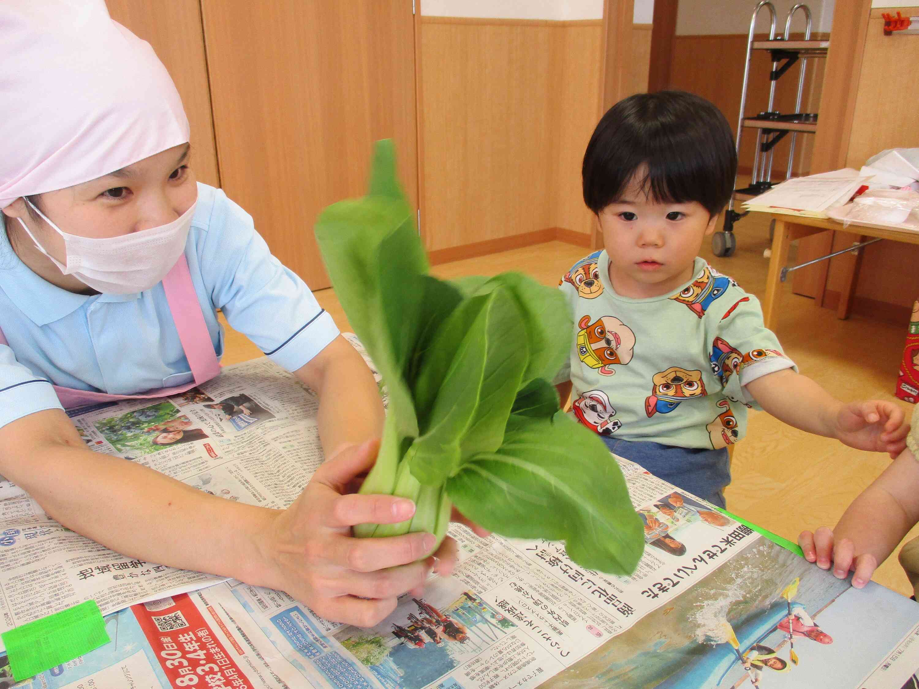 チンゲン菜に興味津々‼