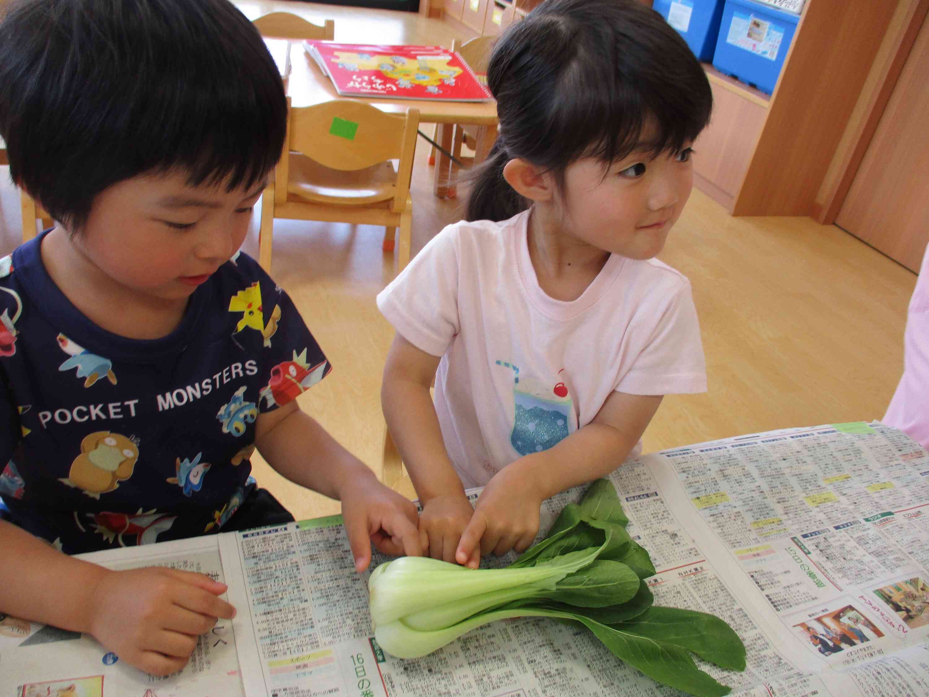野菜を触ってみよう!