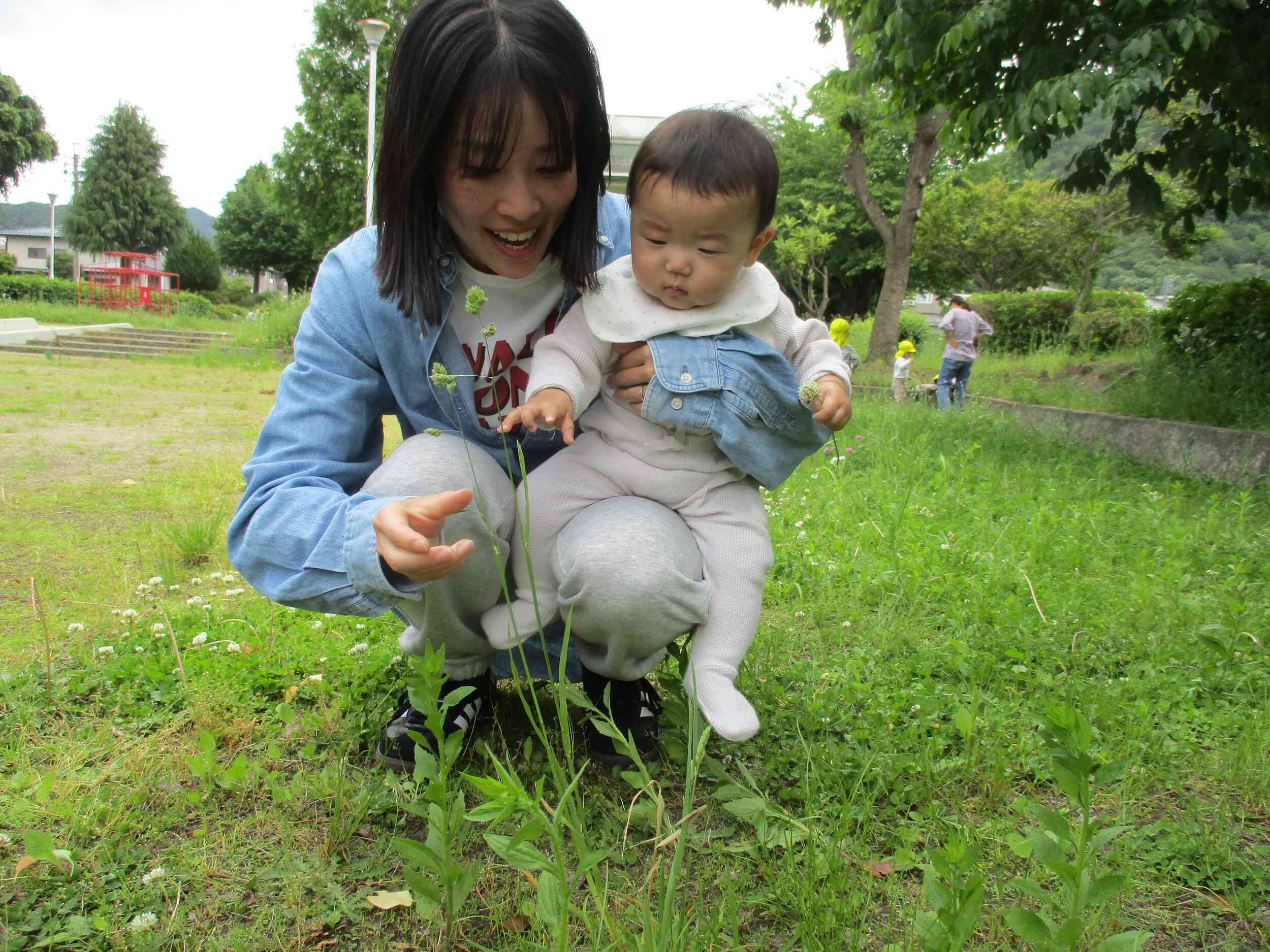 かわいいお花、見つけたね！