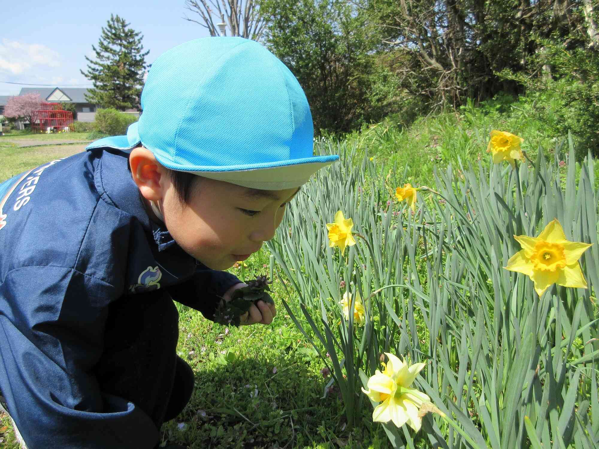 春の自然がいっぱい！　～５歳児　きりん組～