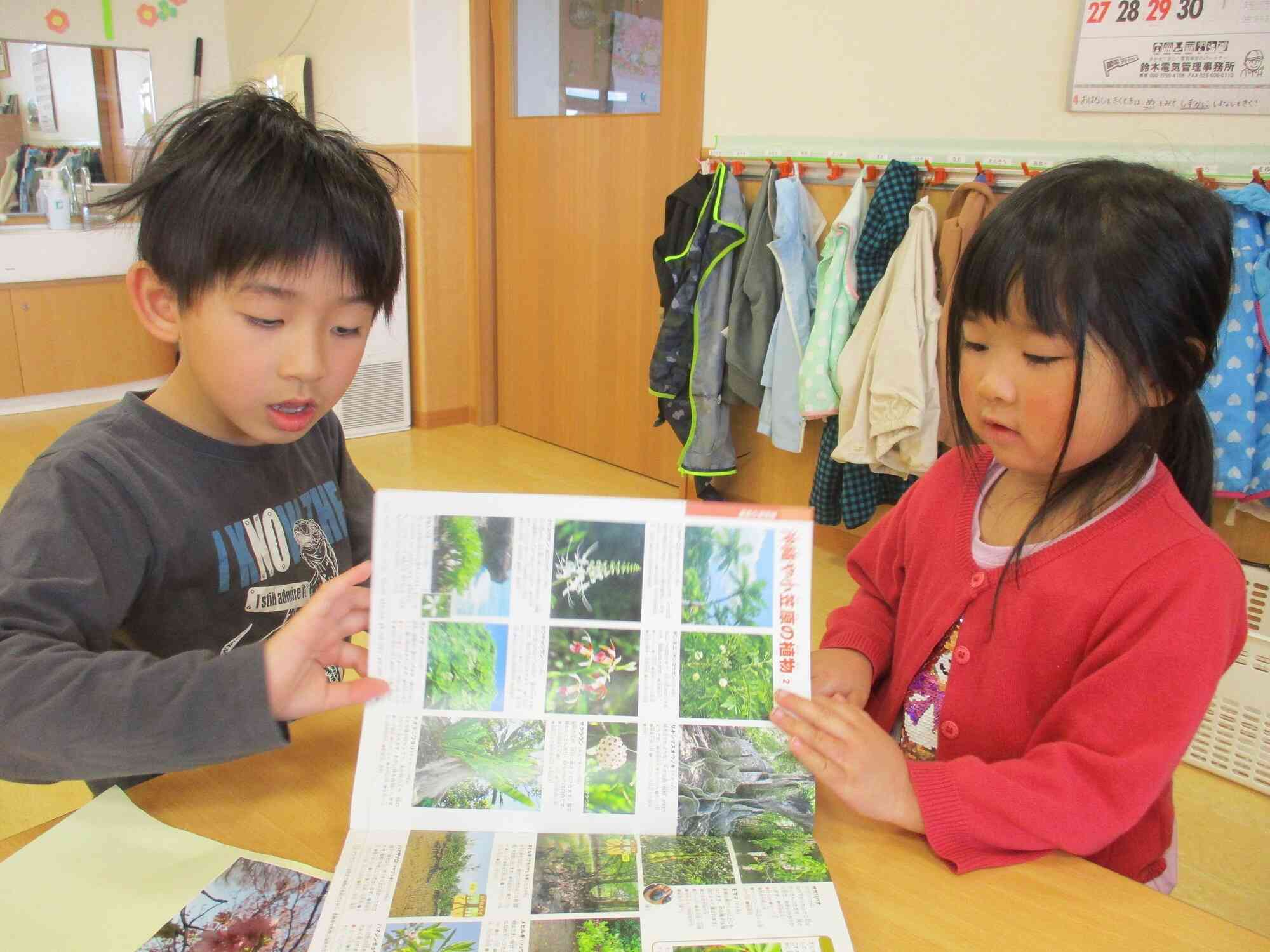 保育園に戻って、花の名前を調べています！