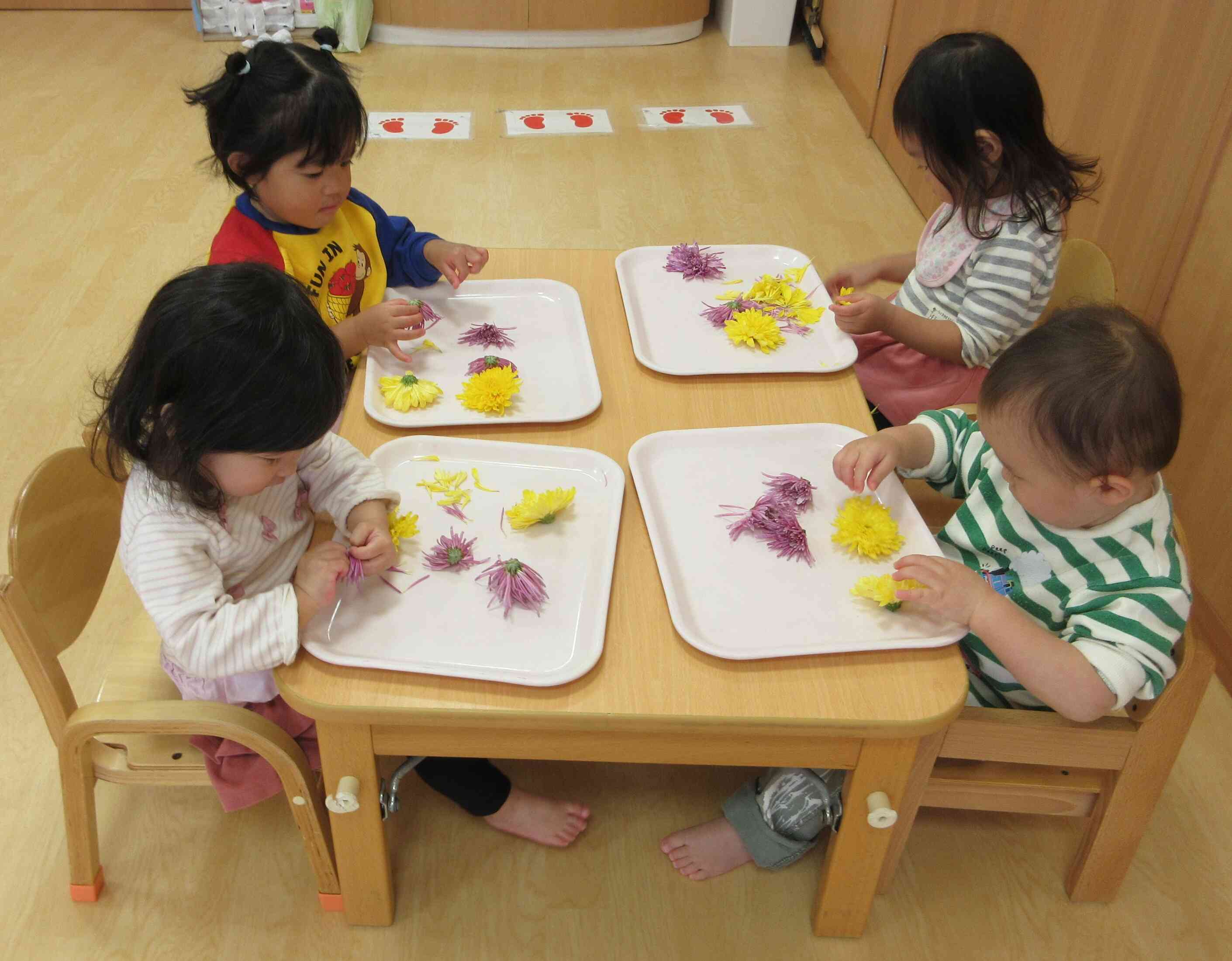 もって菊ちぎりに挑戦！