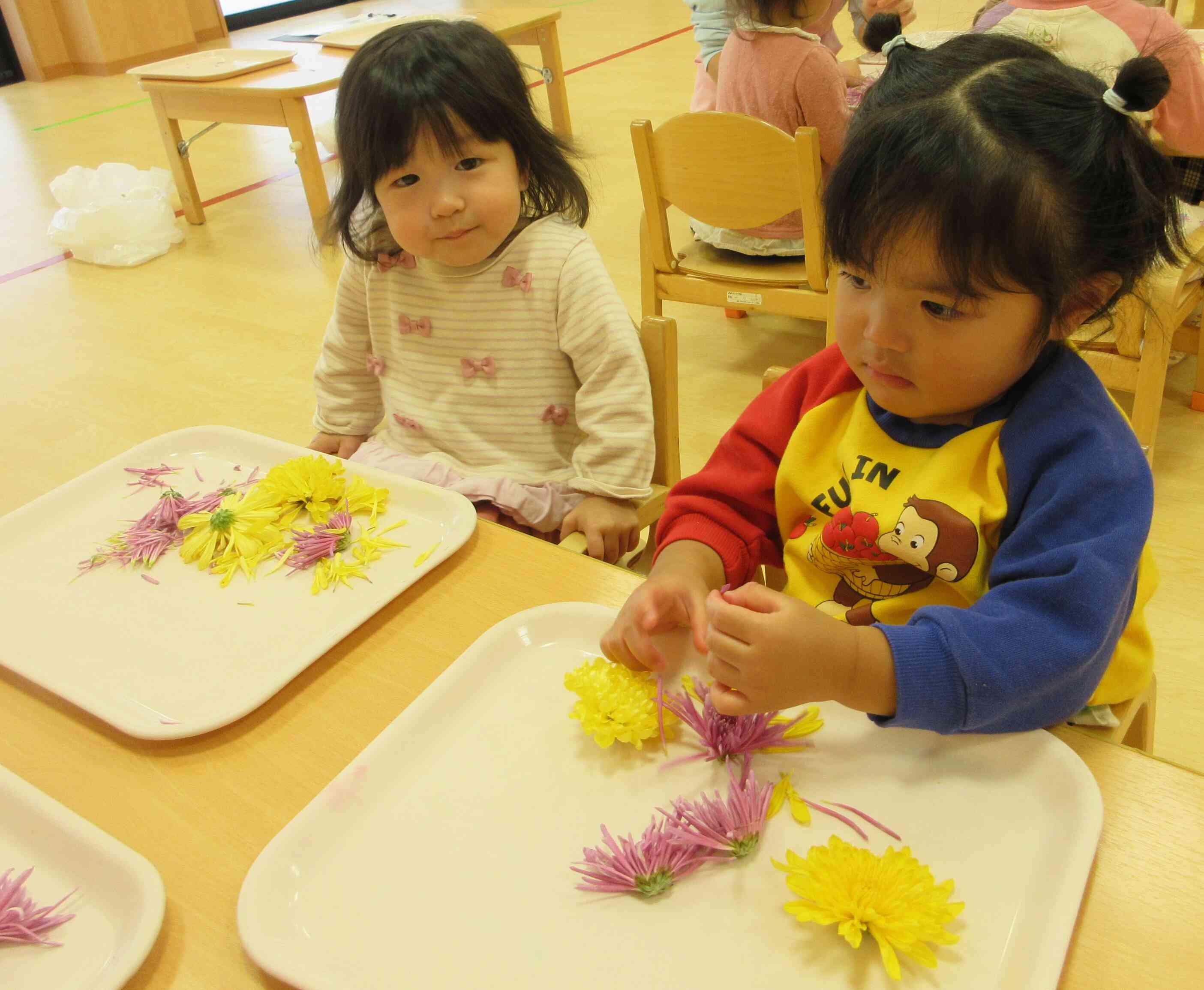 どうするのかな？