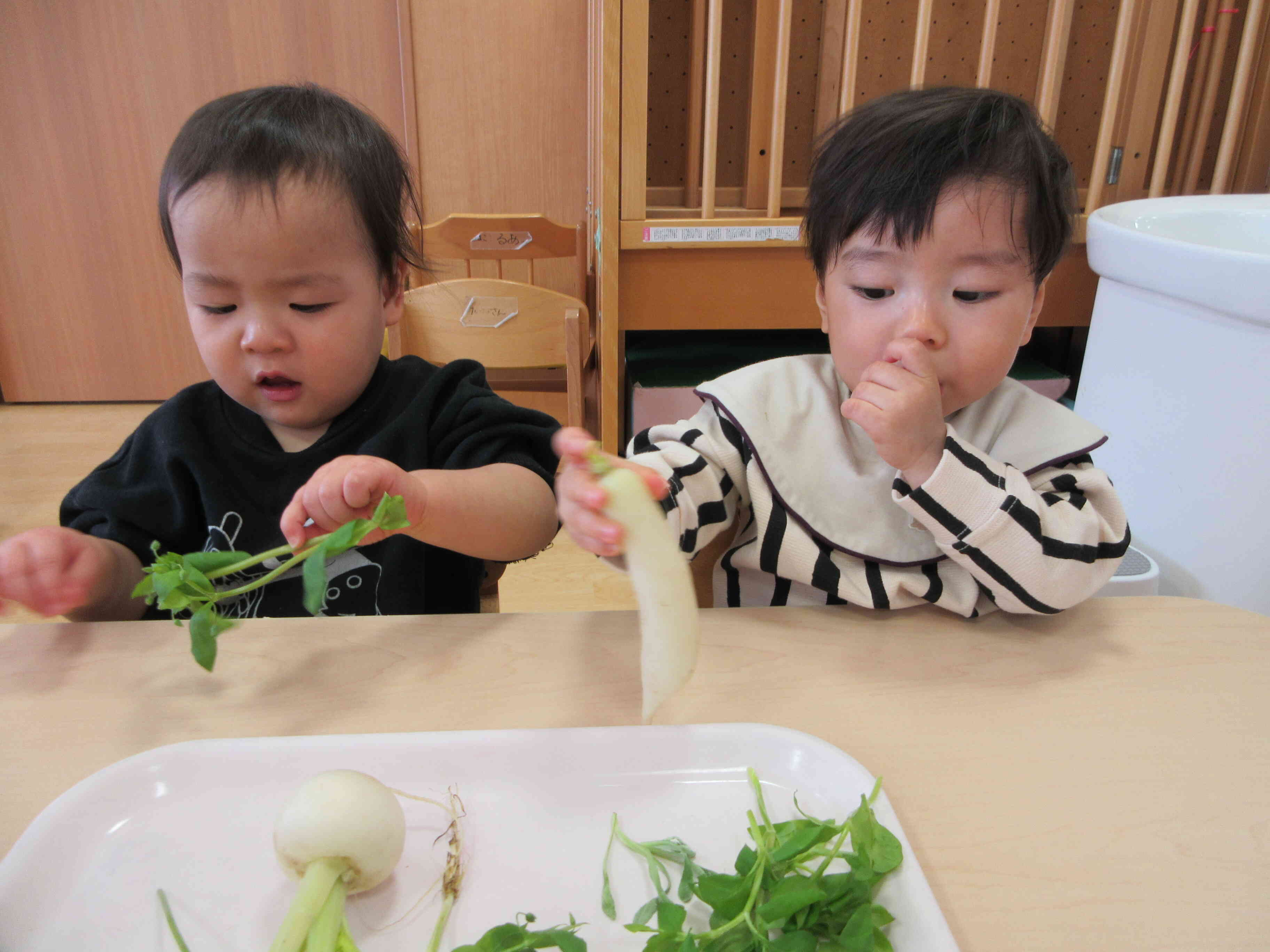 ひよこ組さんも興味津々です！