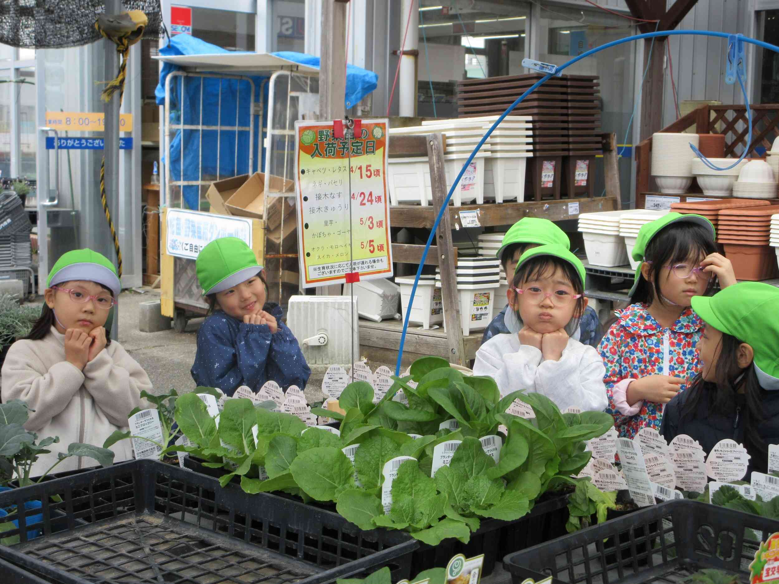 いちごの苗も買っていいですかー？とお願い中！