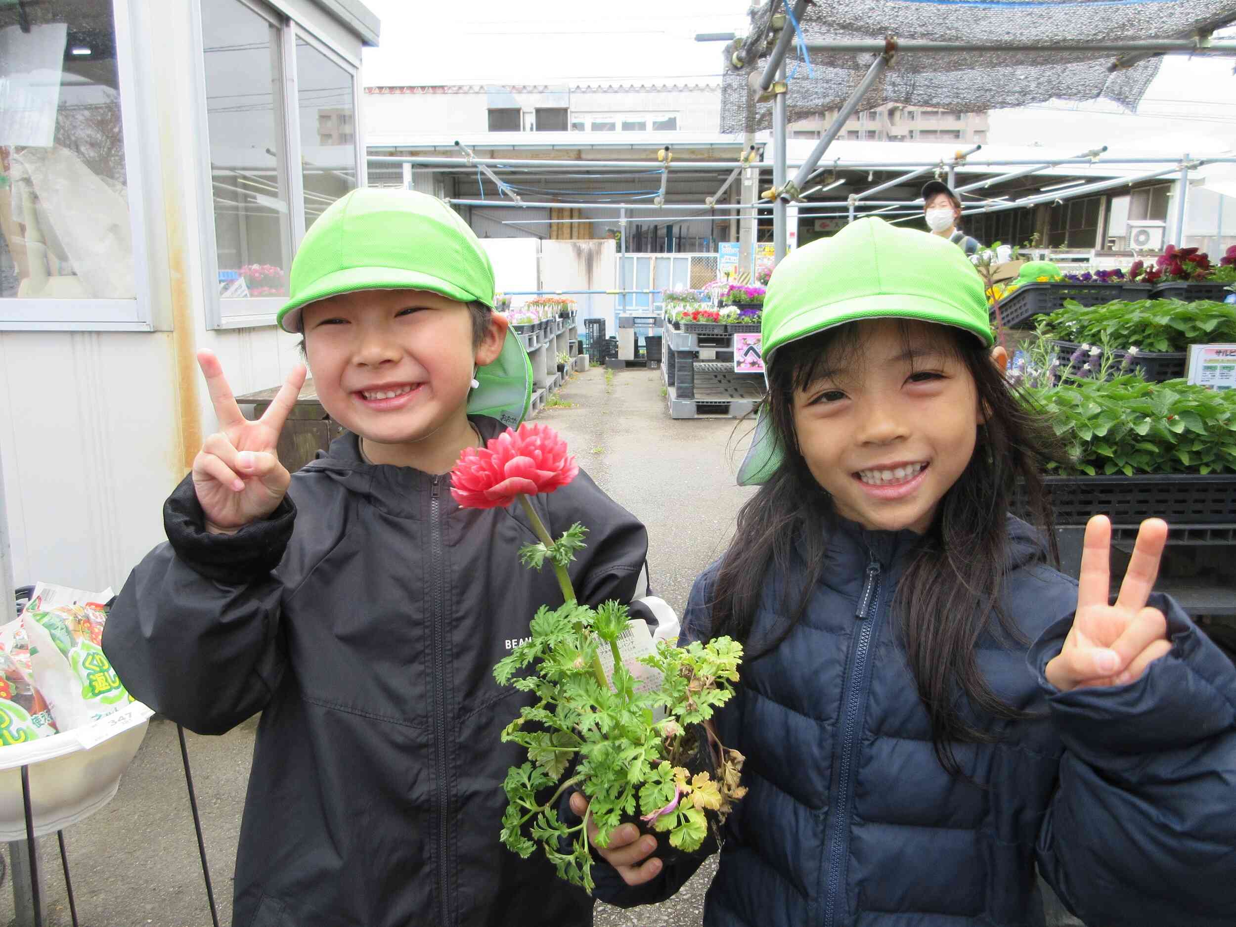 こんなに素敵なお花を買ったよ！