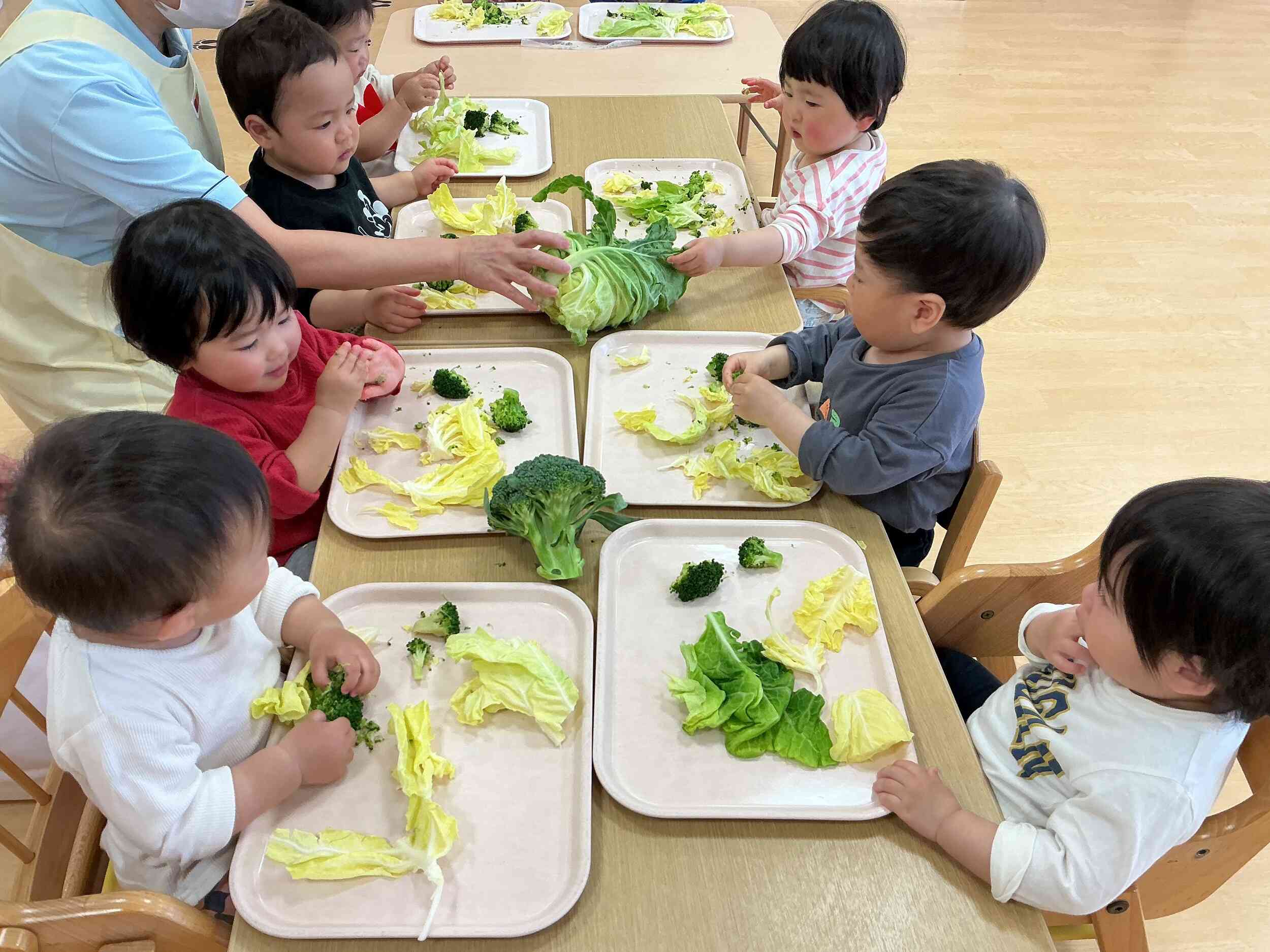 春野菜に触れよう！〜１歳児　あひる組〜