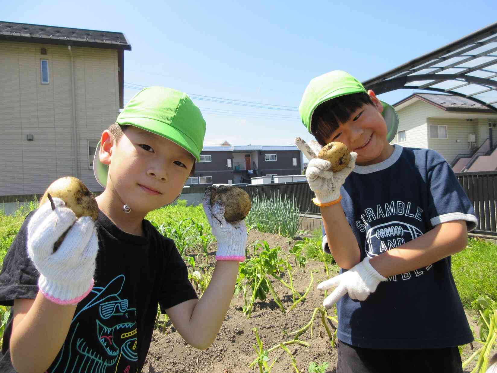 じゃがいも掘り!!～きりん組（5歳児）、ぱんだ組（４歳児）～