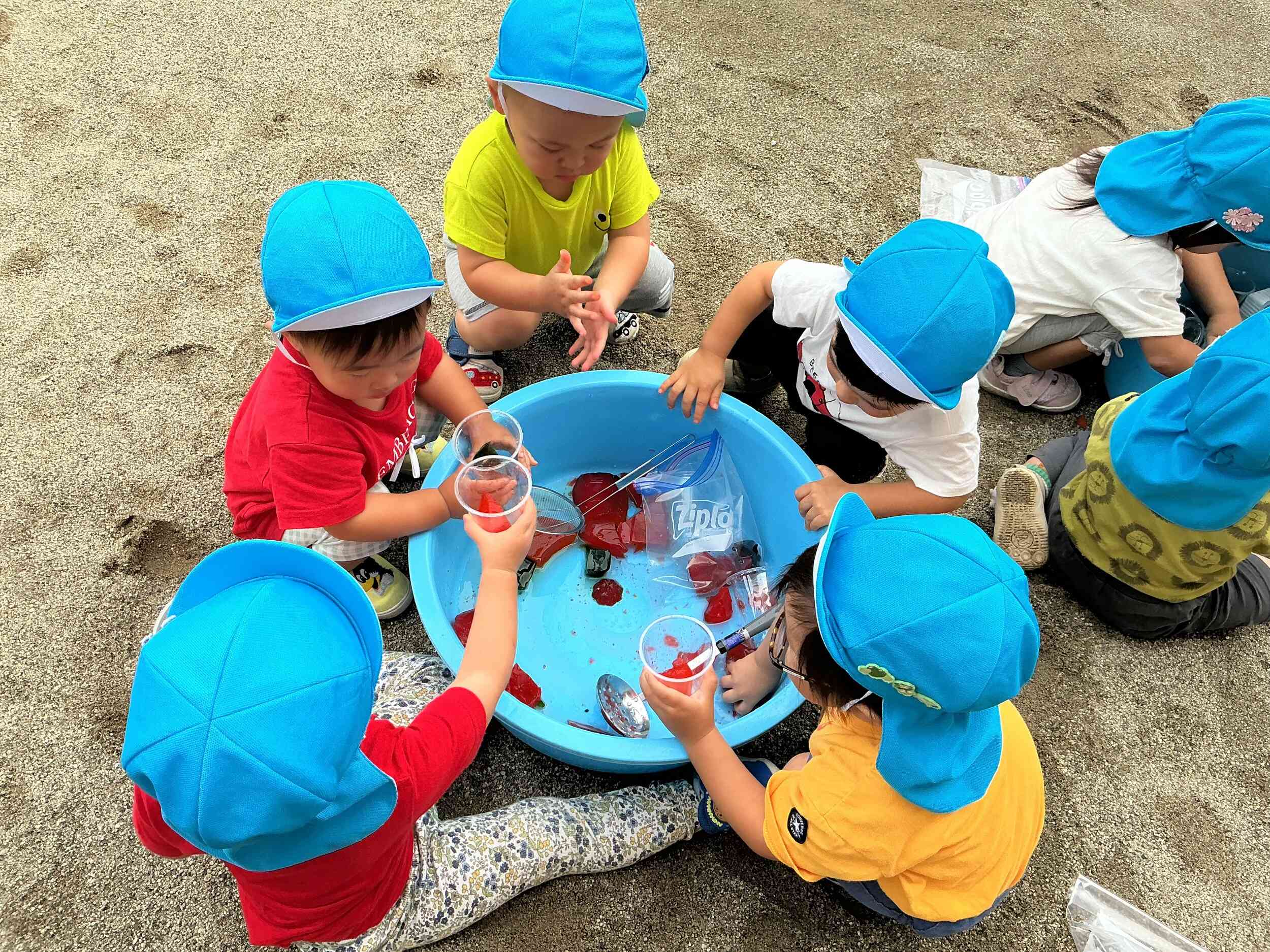 寒天遊び～1歳児あひる組～