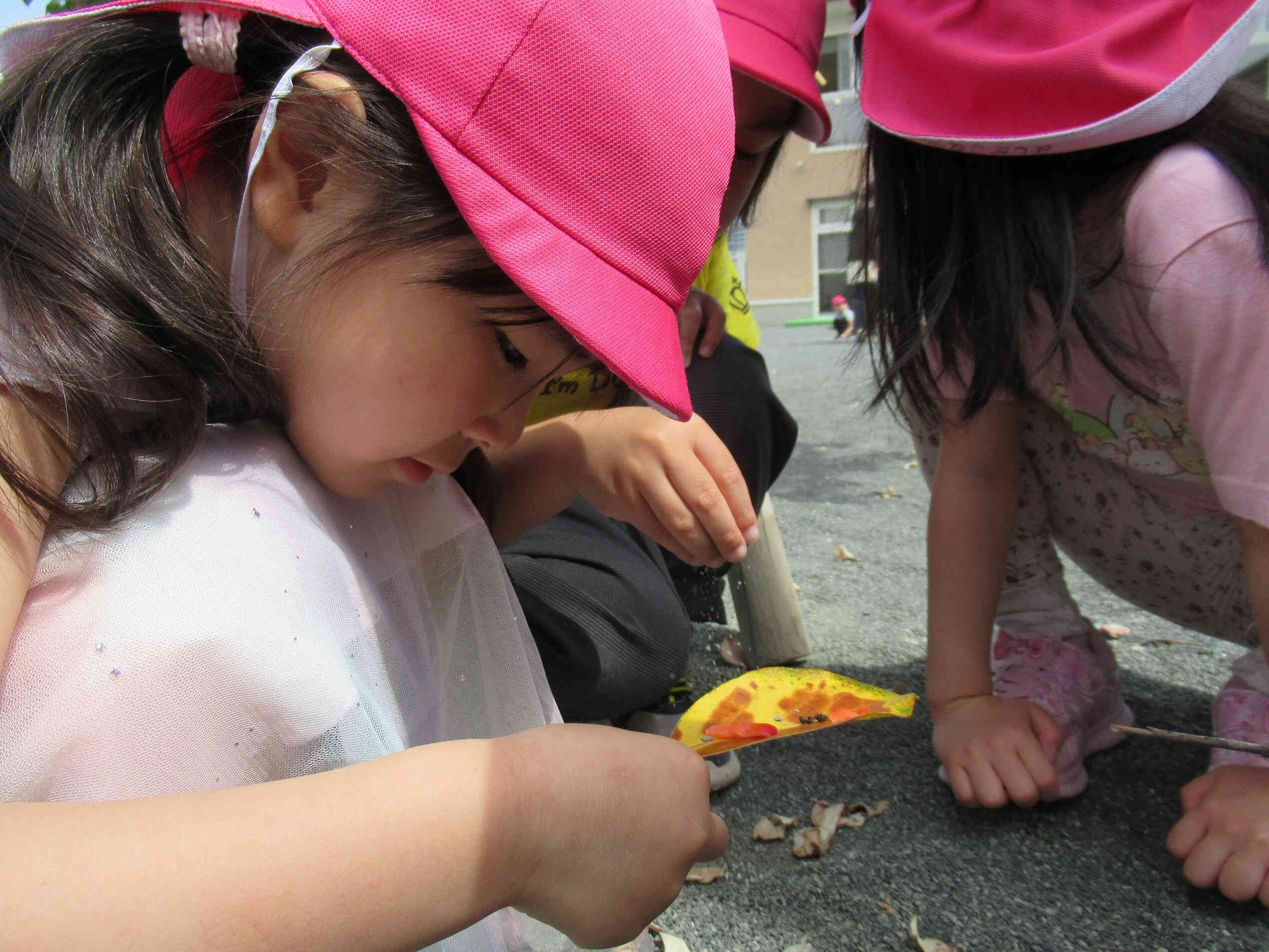 園庭でいっぱいあそんだよ（4歳児・ぱんだ組）