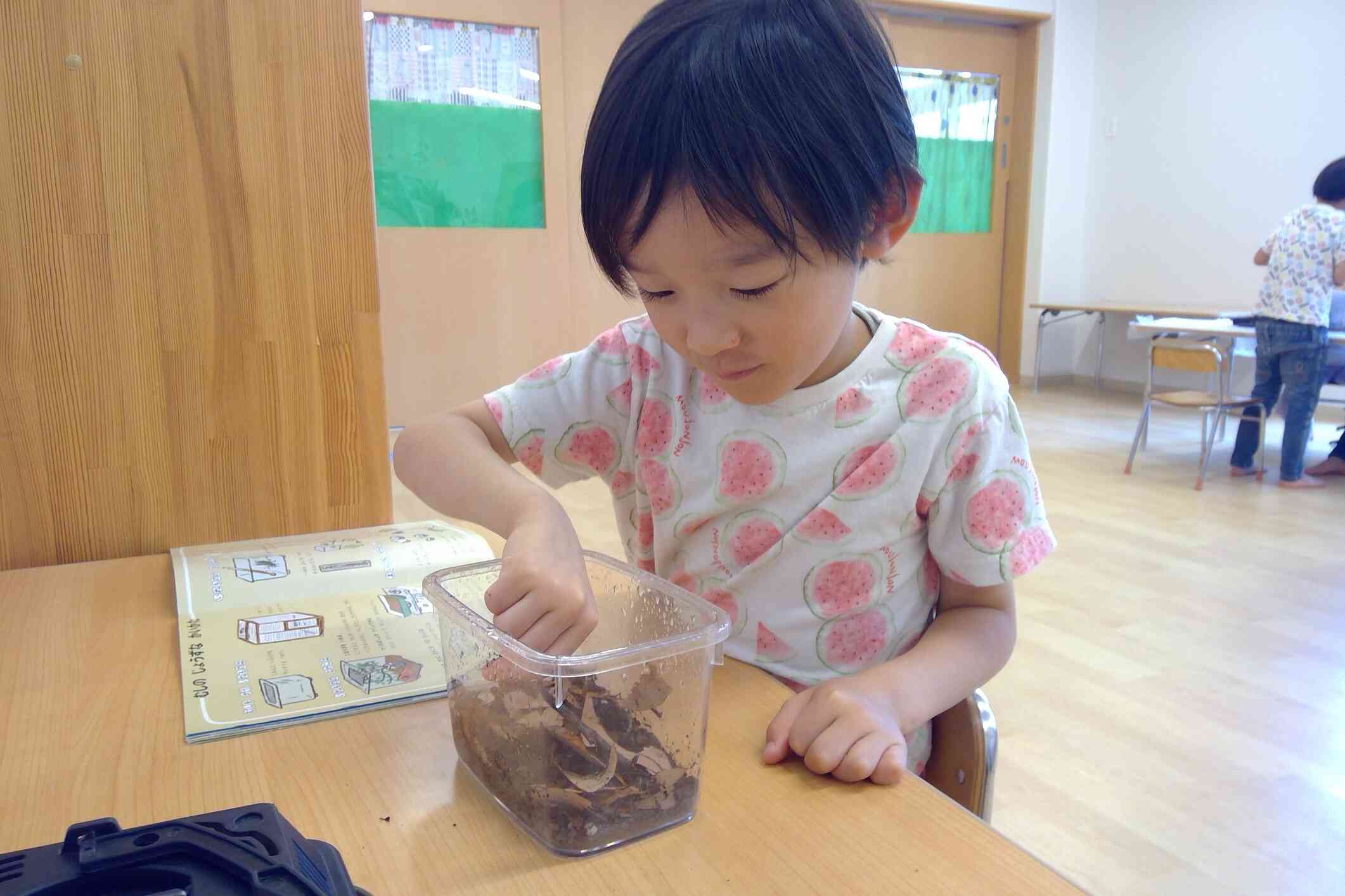 図鑑を見ながら虫の観察も楽しんでいます