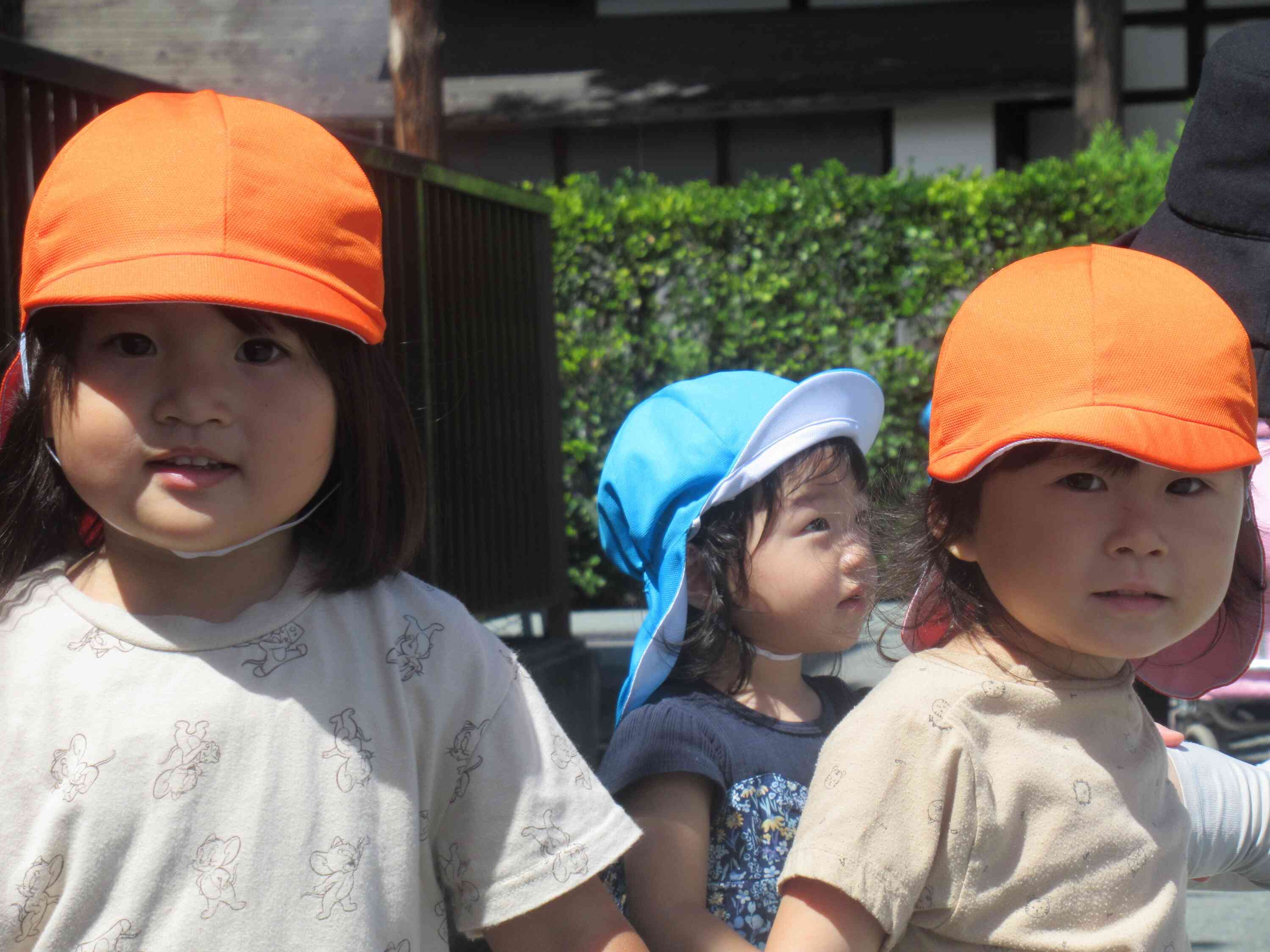 夏は楽しいね（2歳児・うさぎ組）