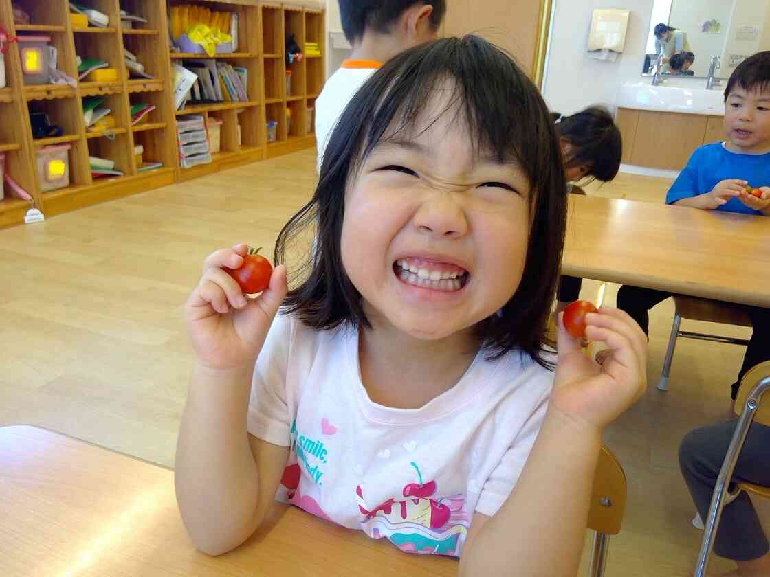 トマトの観察