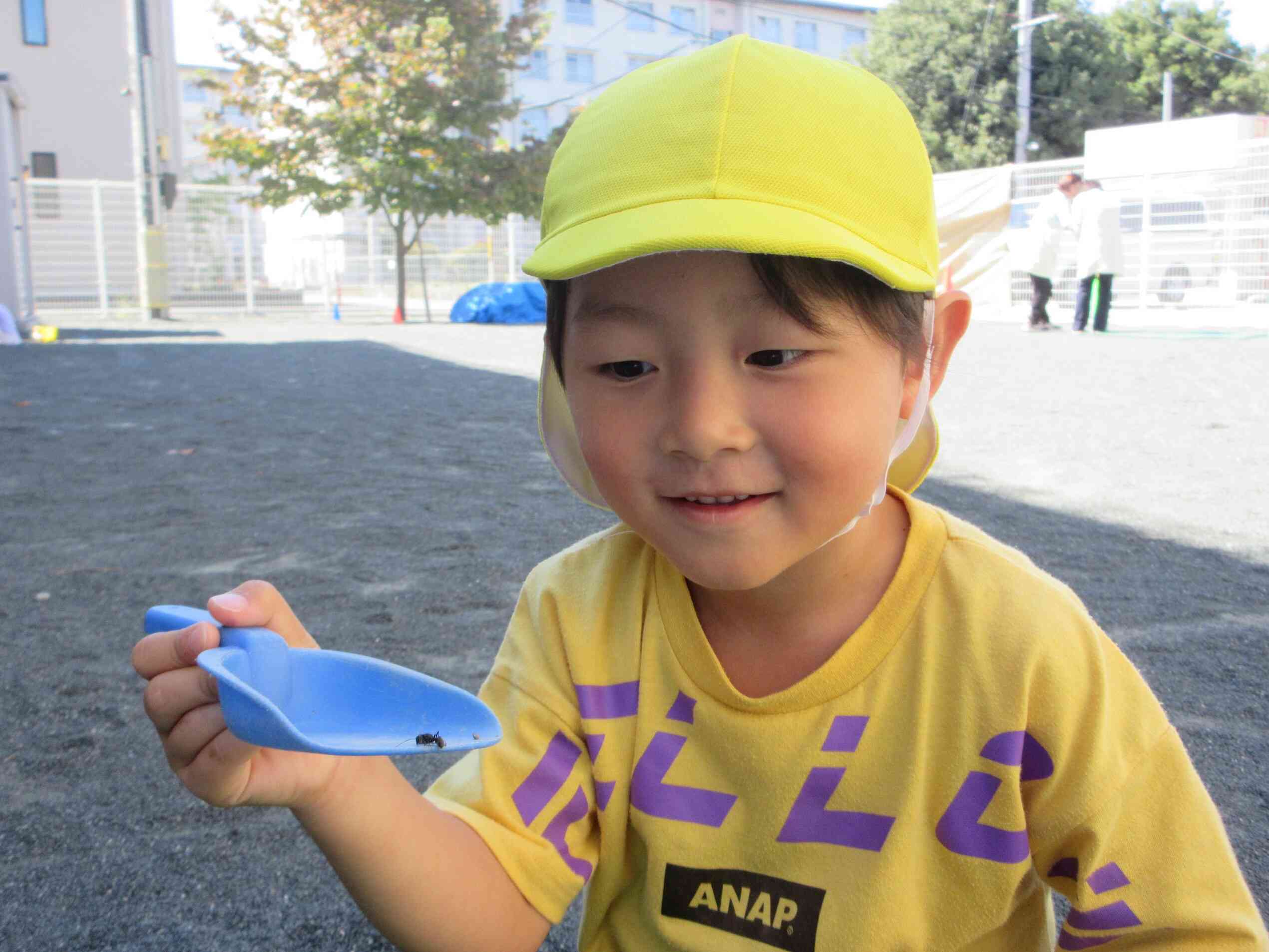 あり見つけたよ!