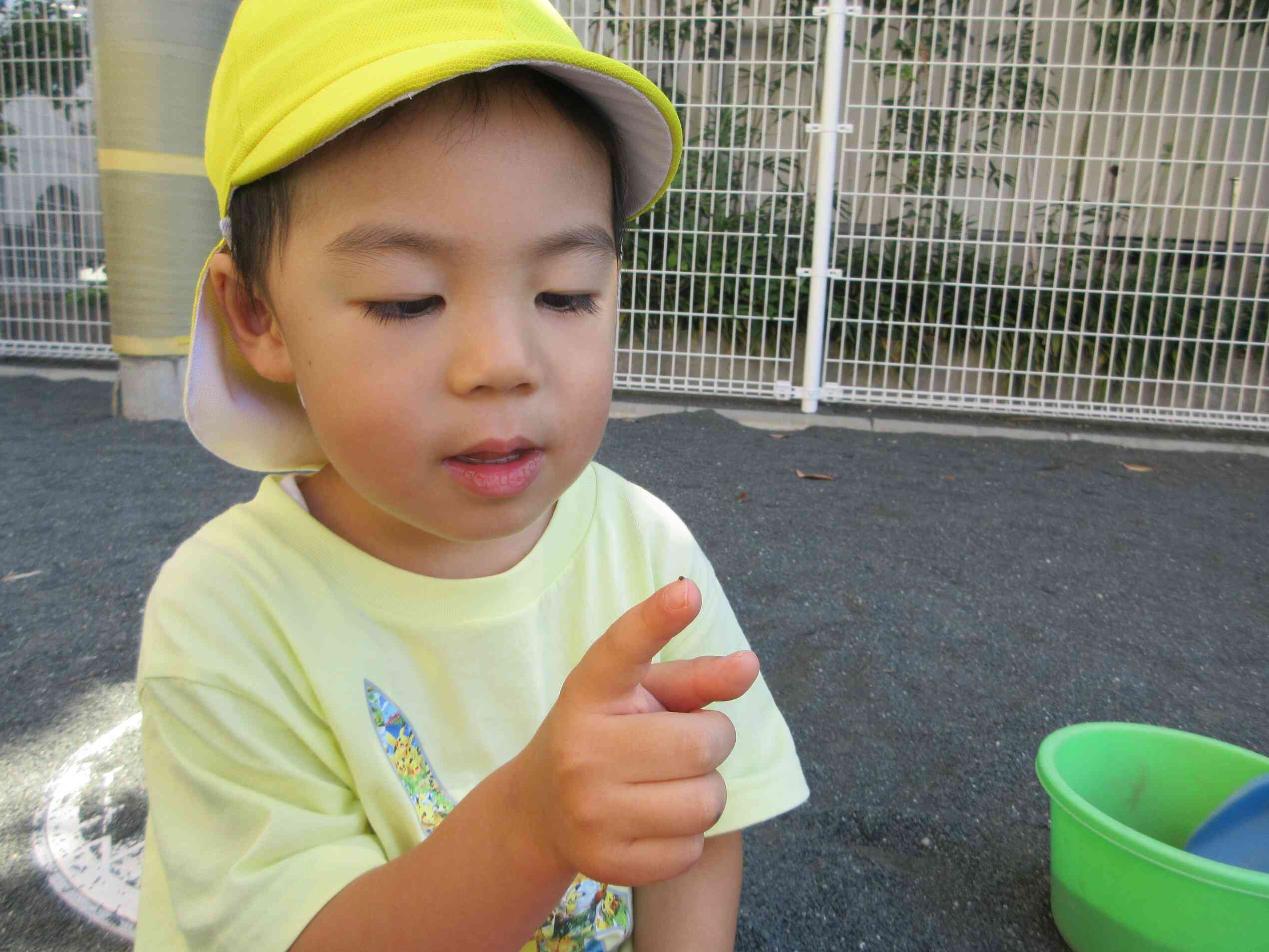 ９月はこんなことをしたよ(りす組・３歳児)