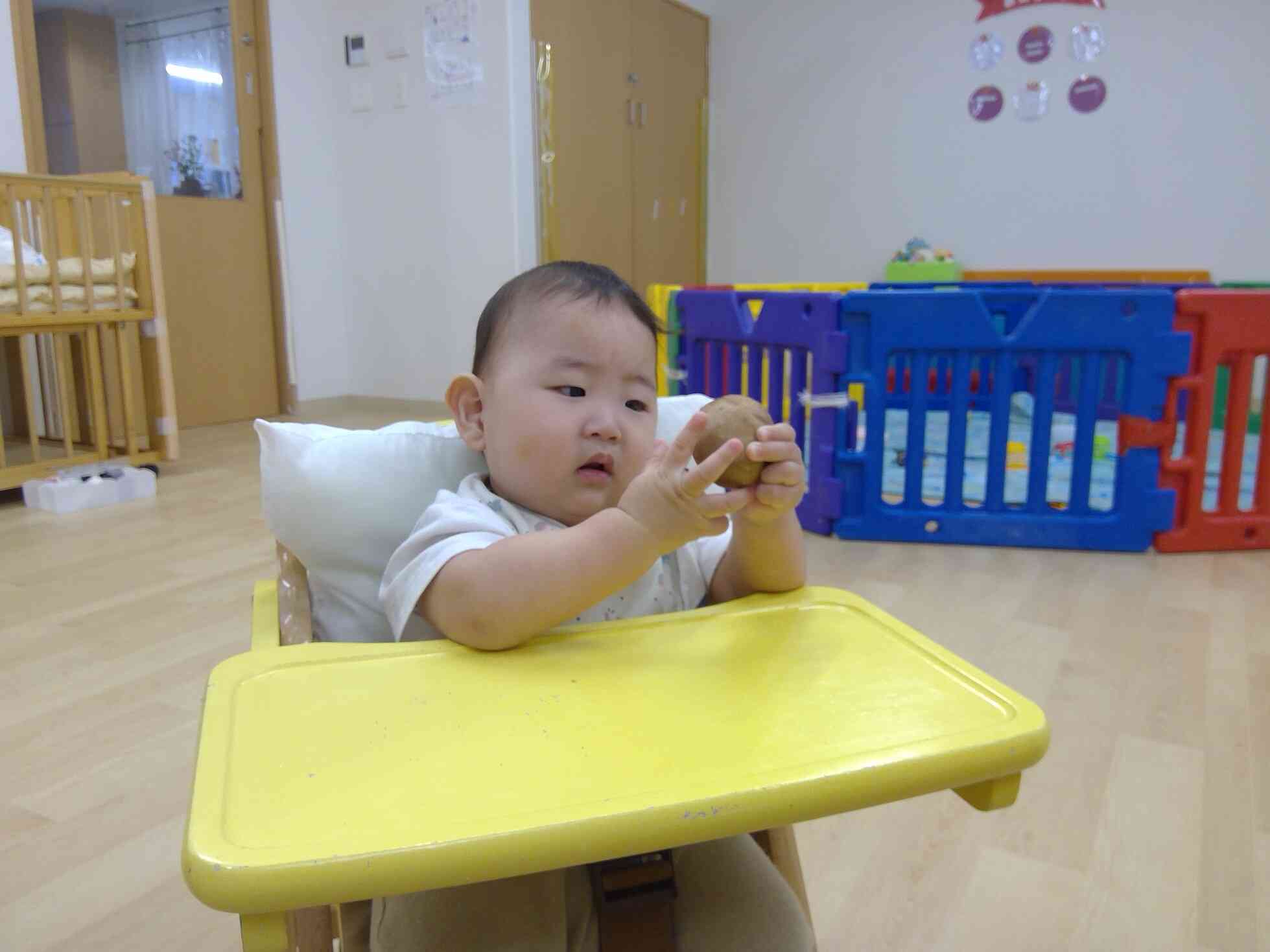 これがきのこか…