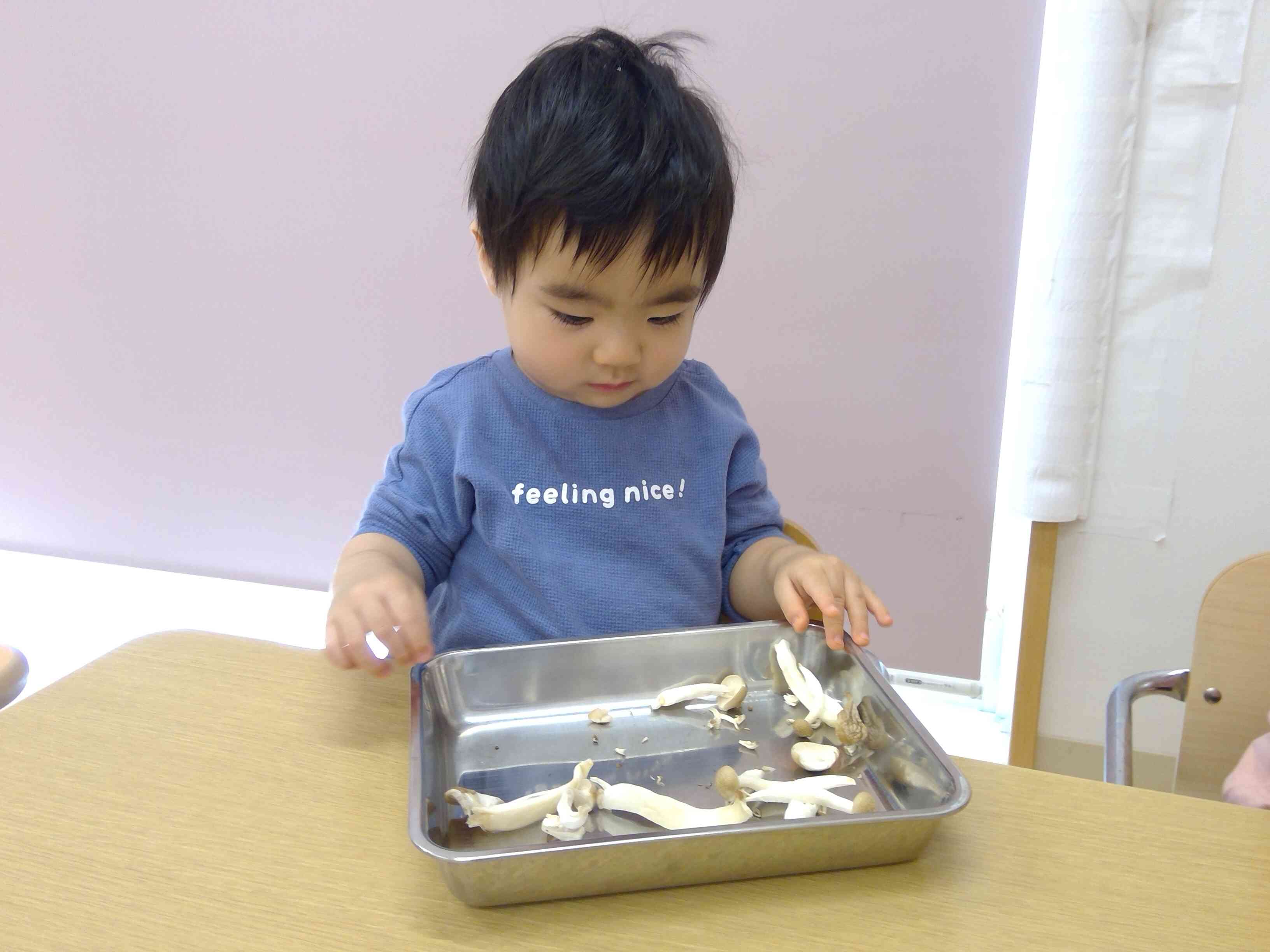 触ってみようかなぁ