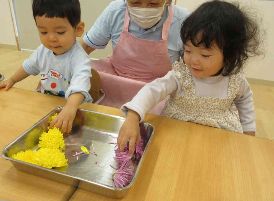 和食の日 菊ちらし(あひる組・1歳児)