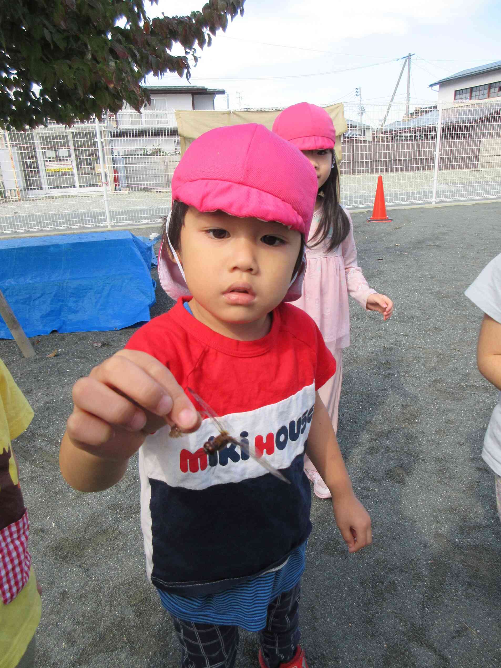 トンボつかまえたよ