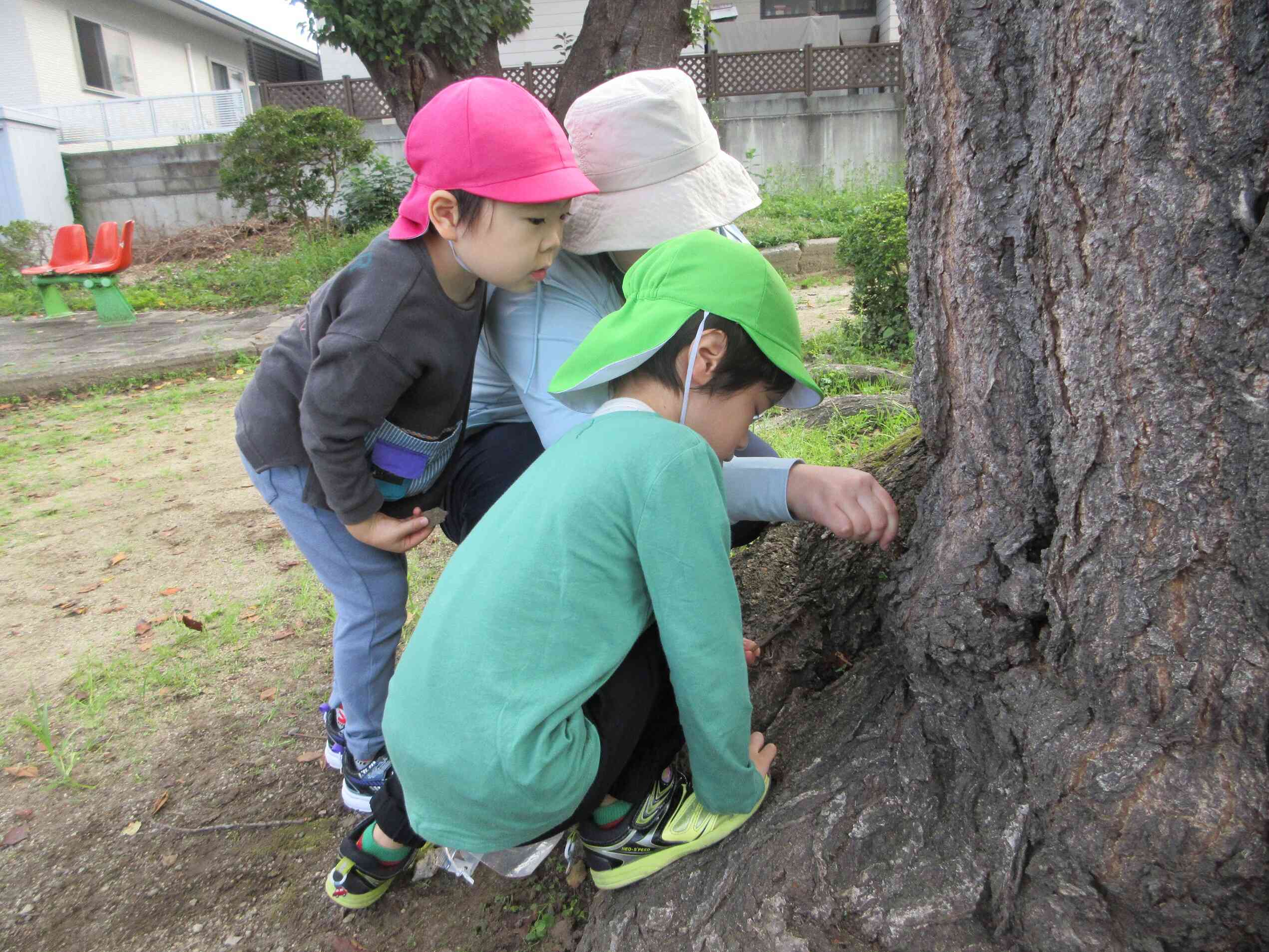なにがあるの？