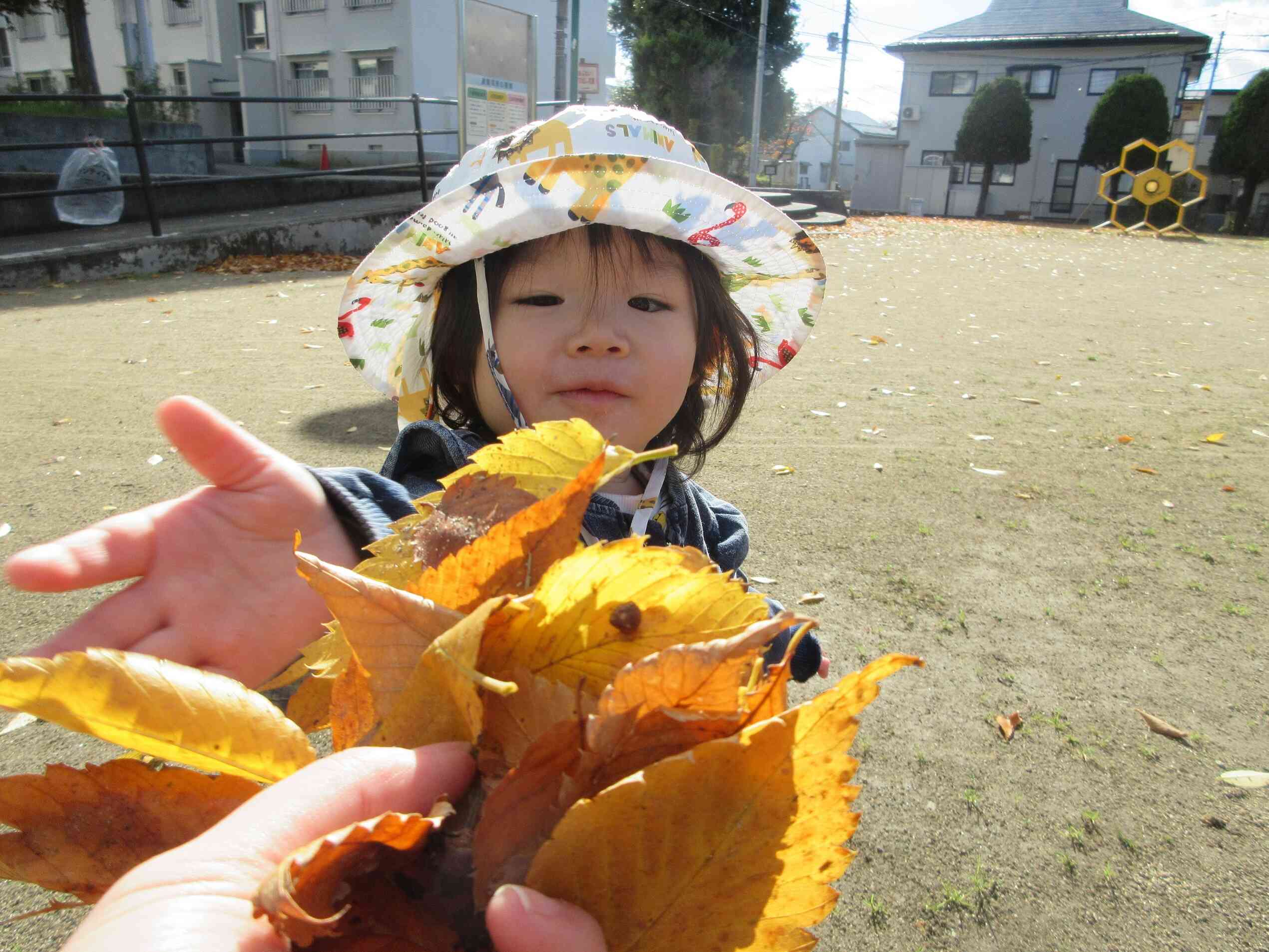 秋探しに出かけたよ(0歳児 ひよこ組)