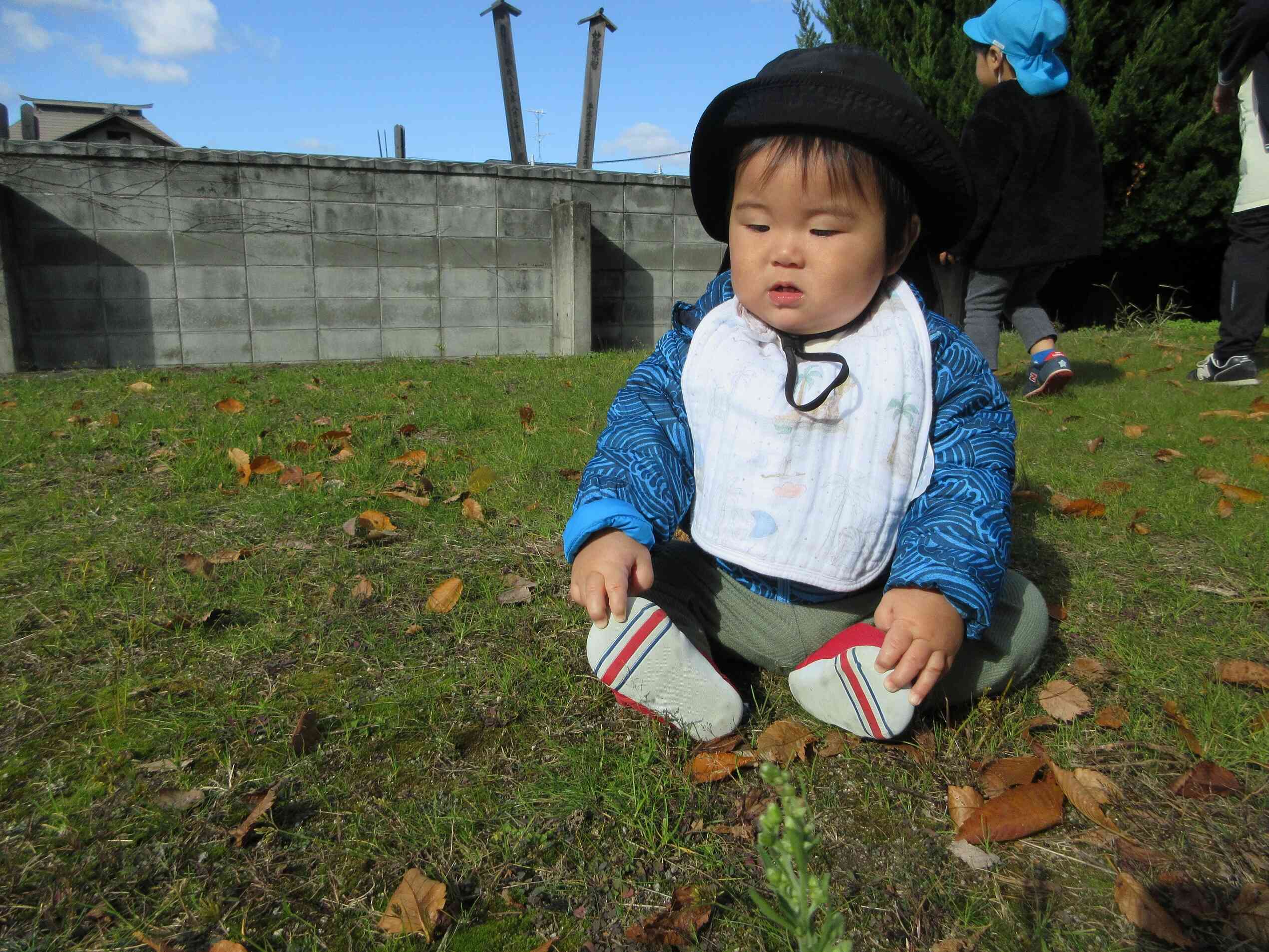 なんだこれー？