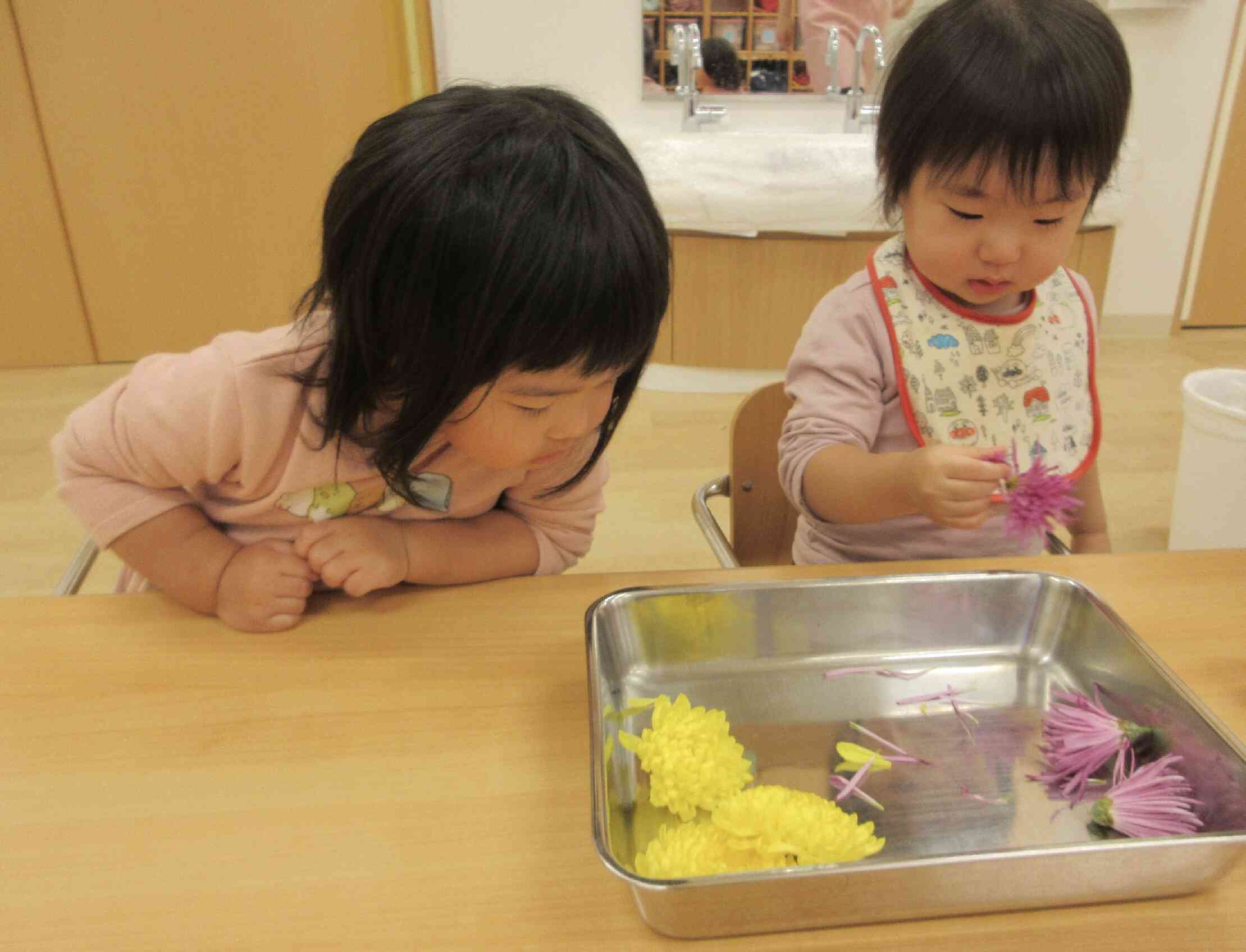 和食の日　菊ちらし(あひる組・1歳児)