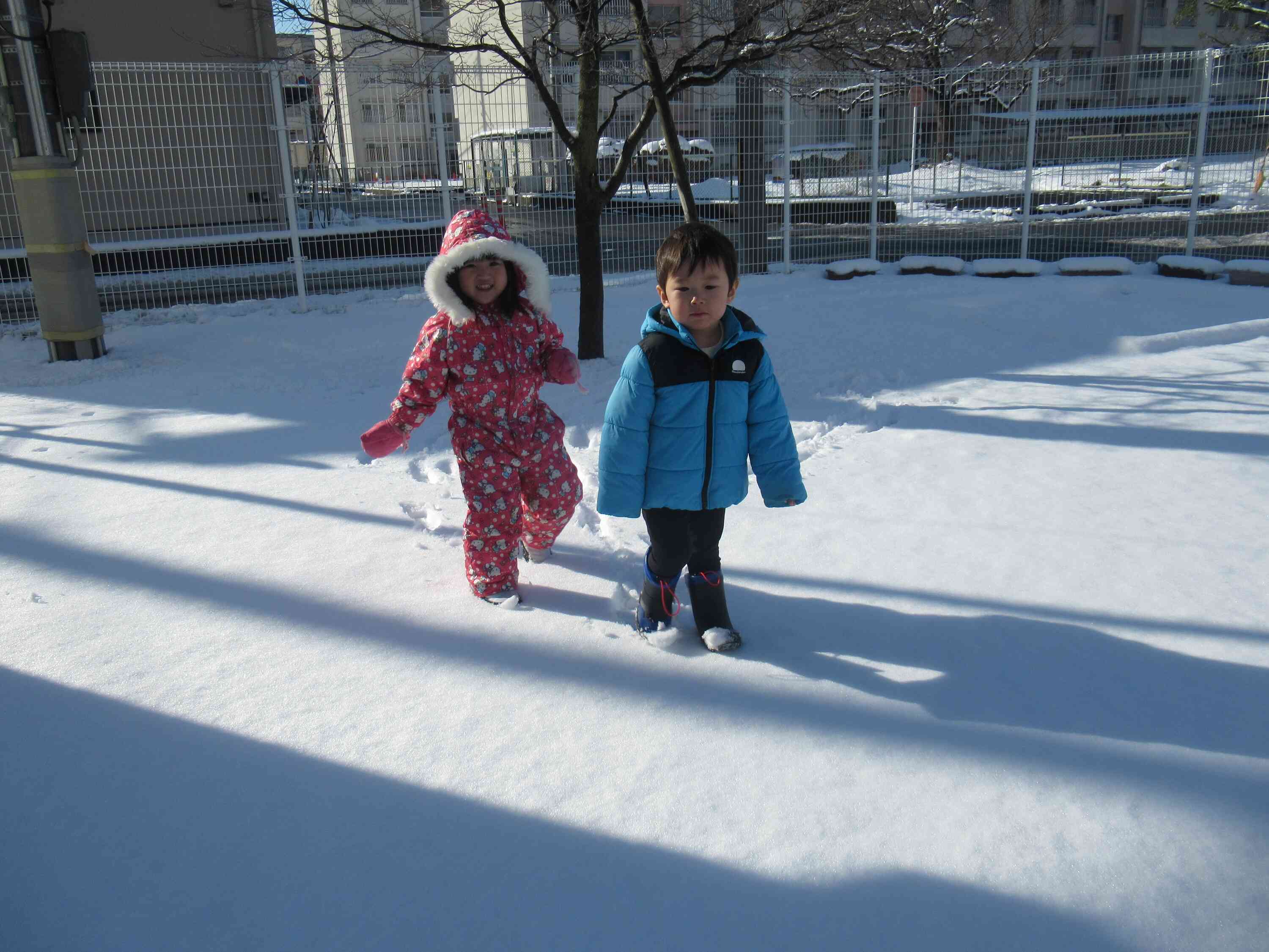 足跡ついてるね