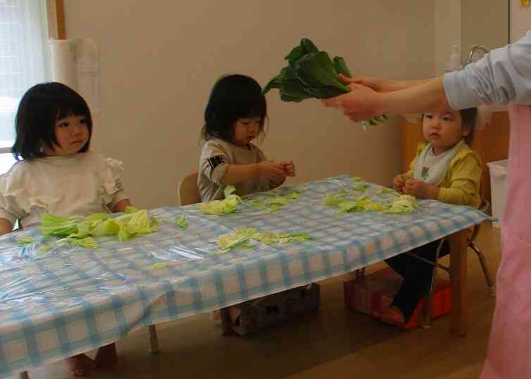 野菜・きのこちぎり（ひよこ・0歳児）