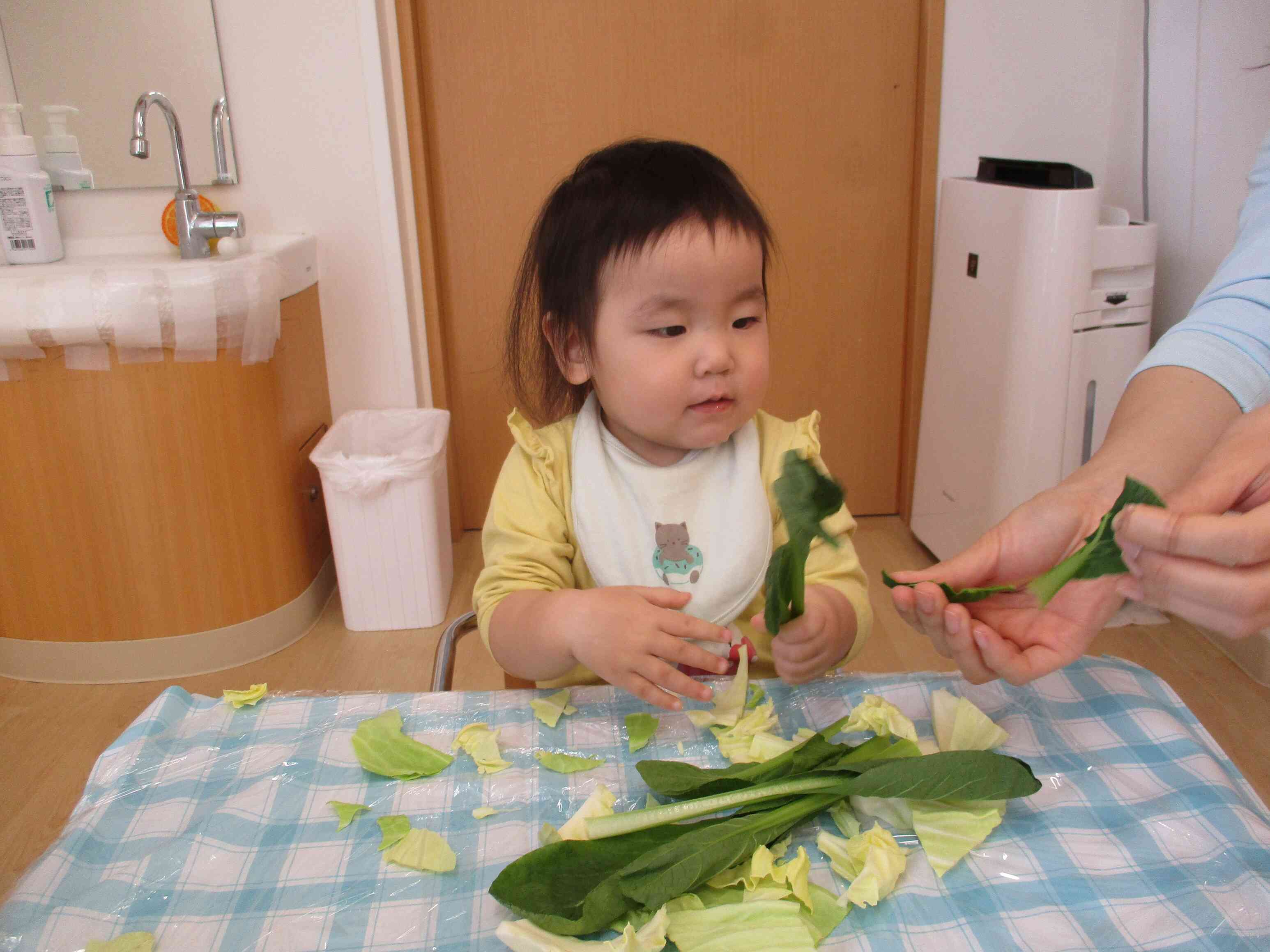 上手にちぎれるかな？