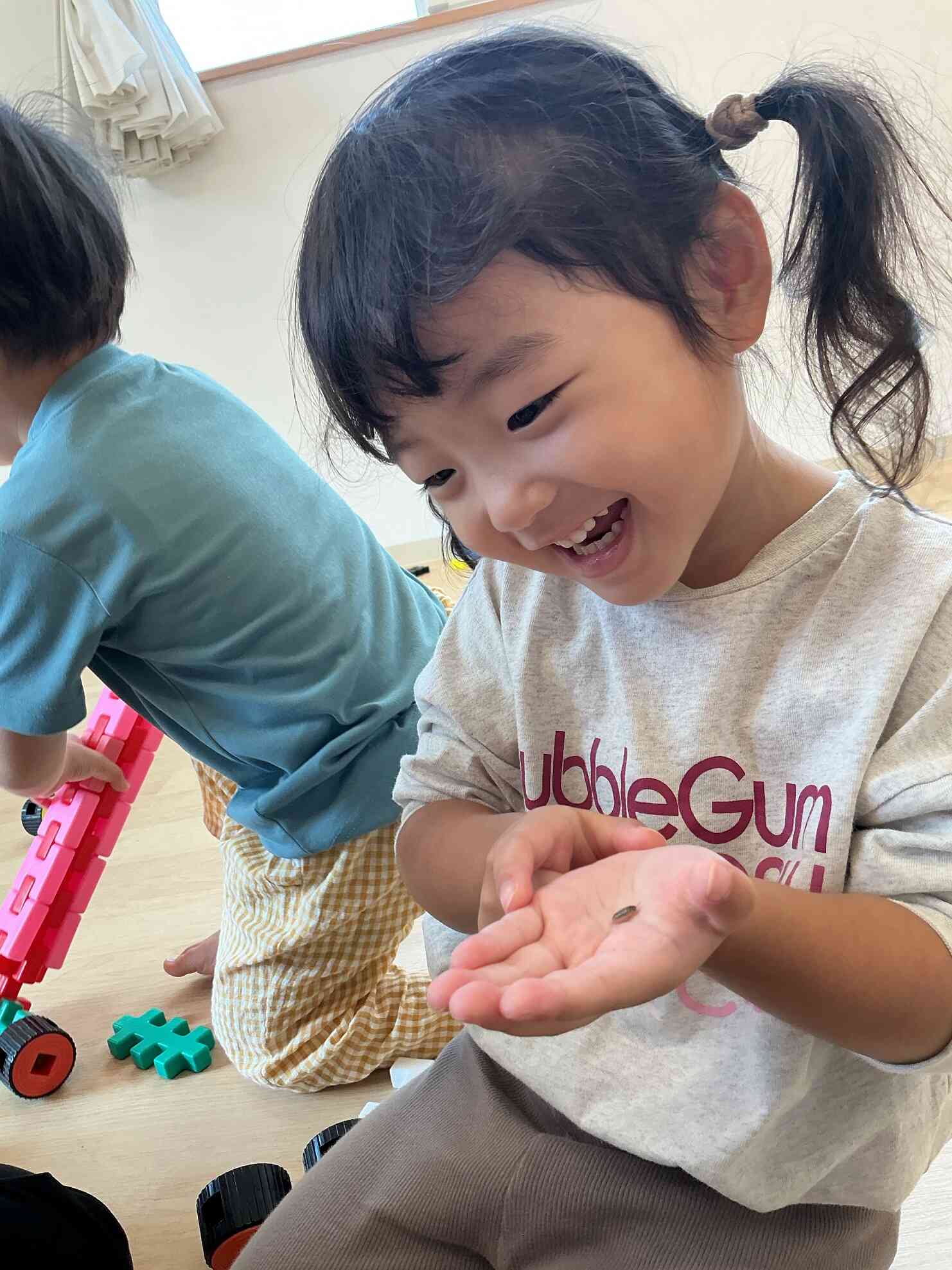 ダンゴムシのお世話をするよ（うさぎ組　2歳児）