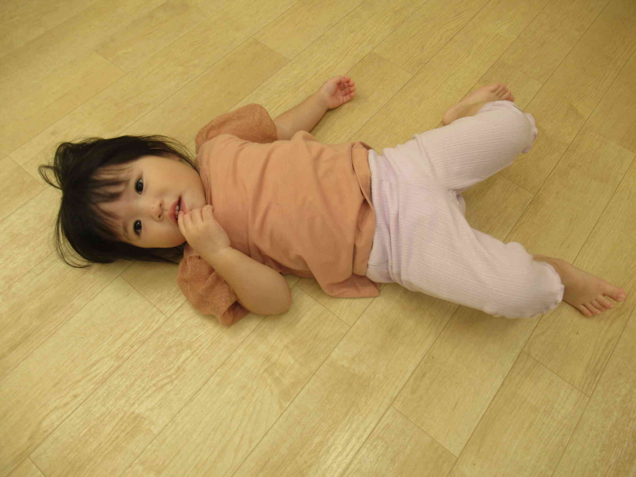 ゴロゴロ～