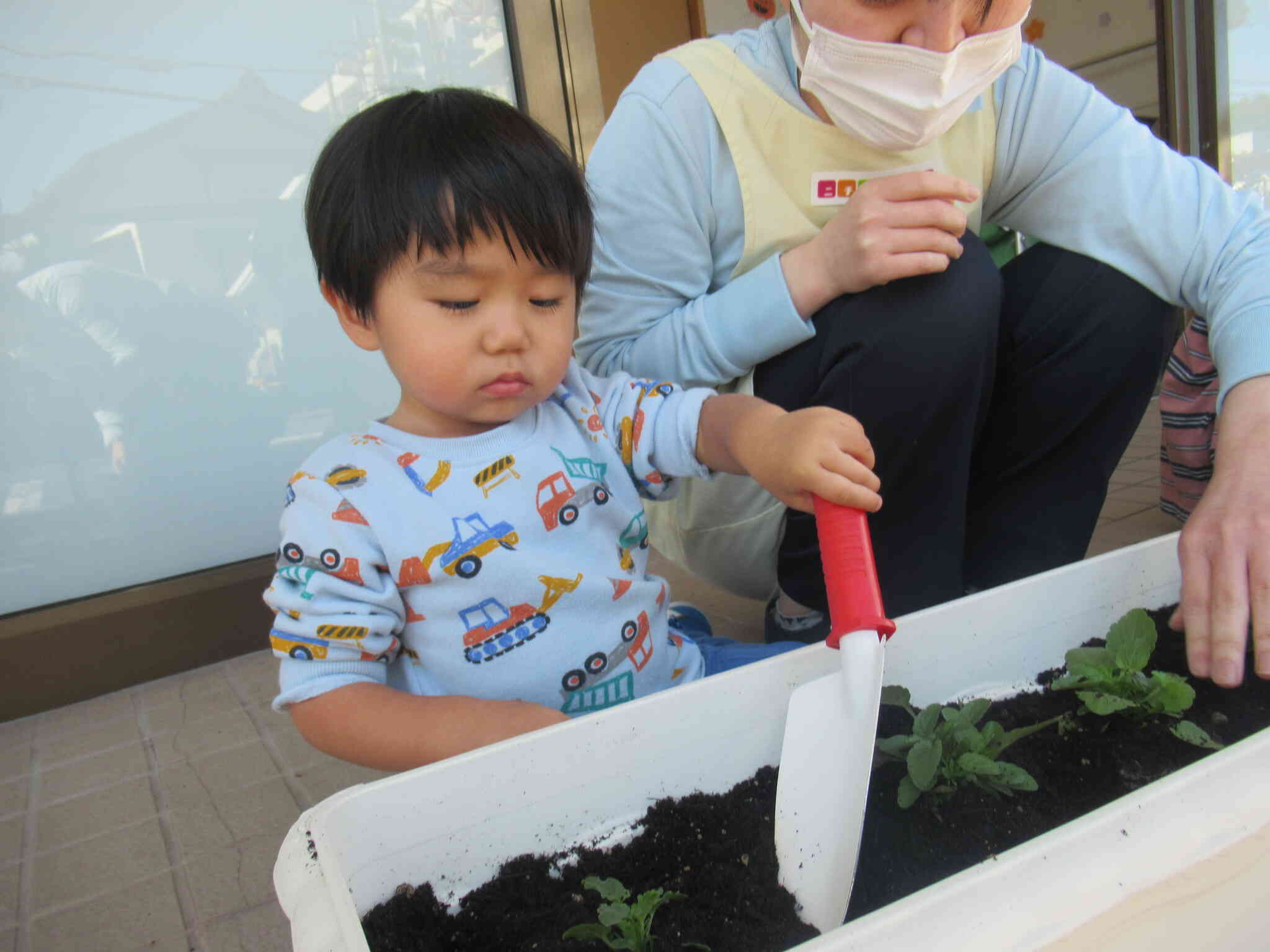 花の苗植えをしました！