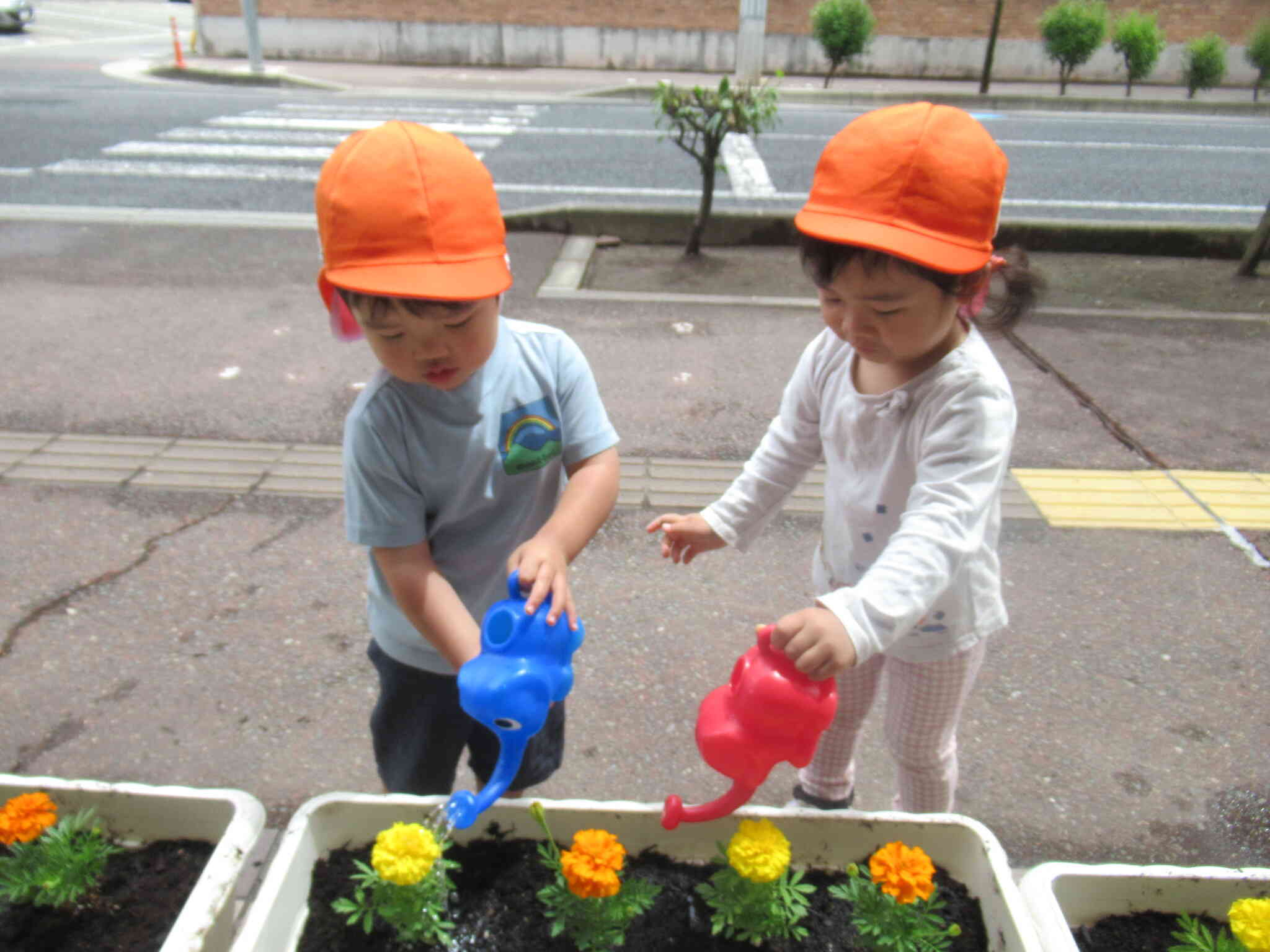園前のお花に水かけ