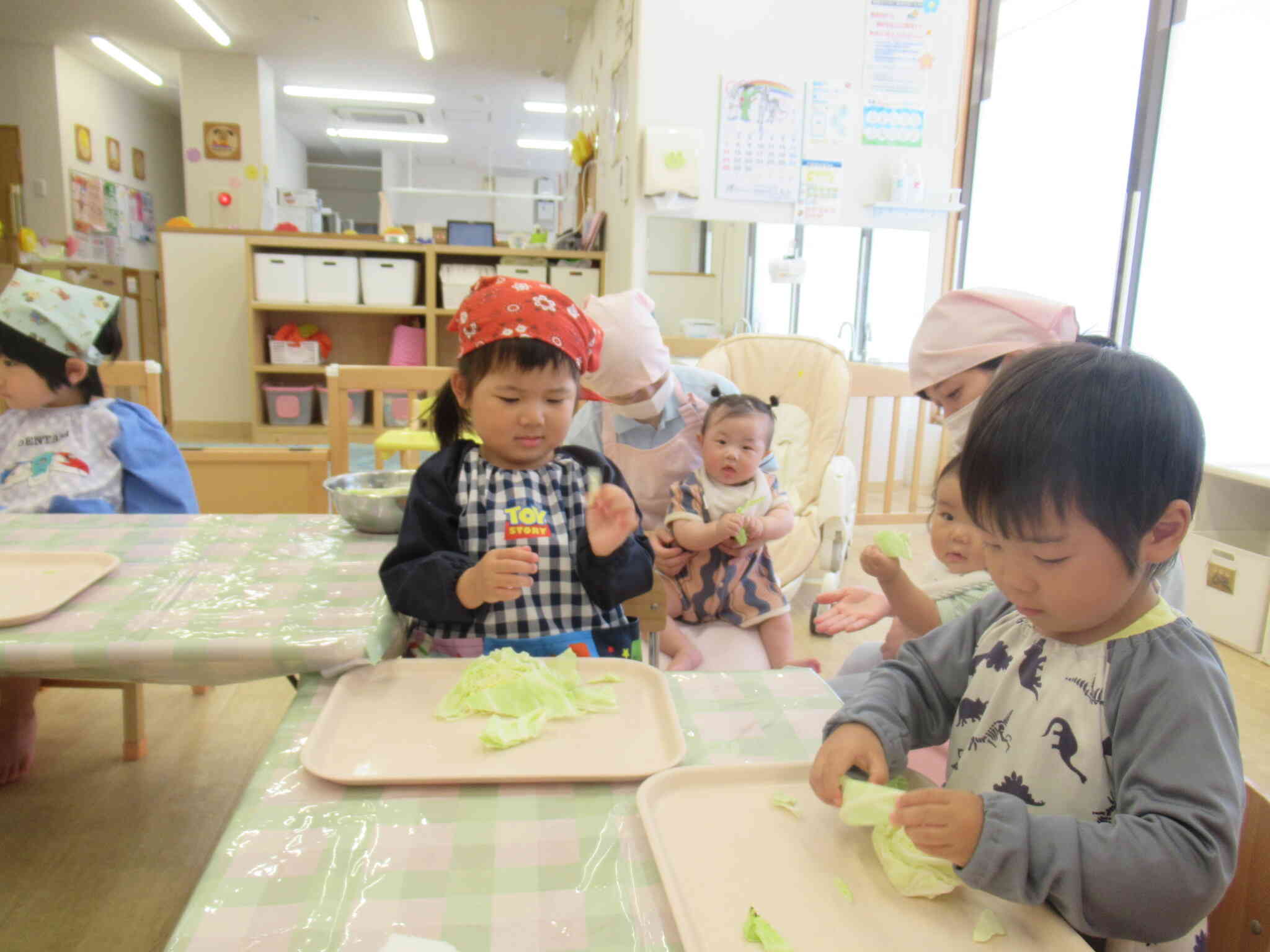 食育活動☆キャベツちぎり