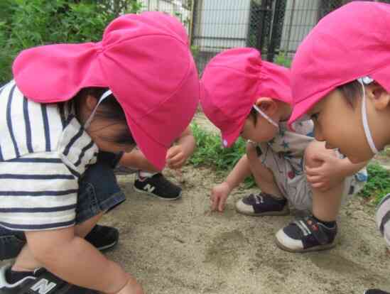 何かな？