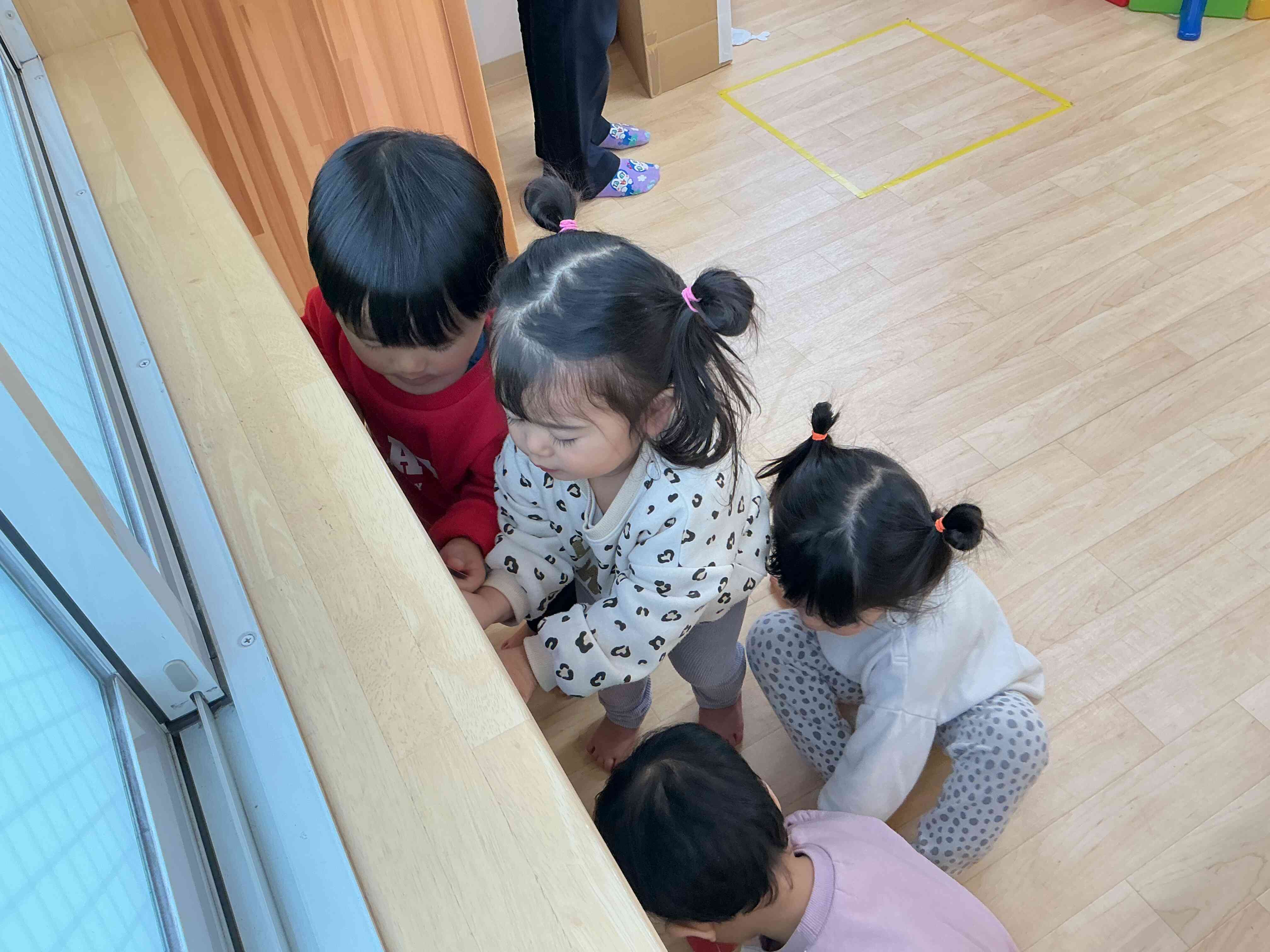 金魚が逃げた！