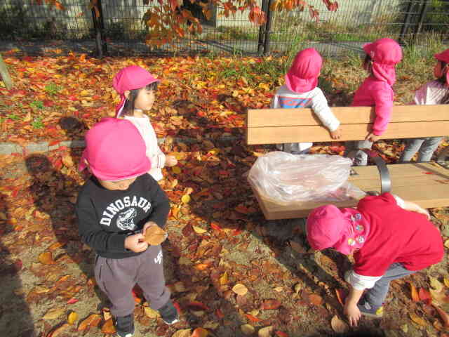 これもきれいな葉っぱ、これはどうかな？と考えながら集めてくれました。