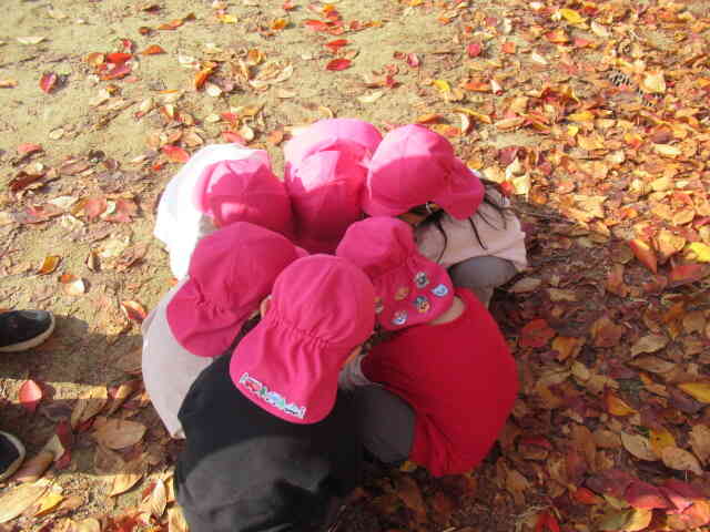 落ち葉集めをしたよ。