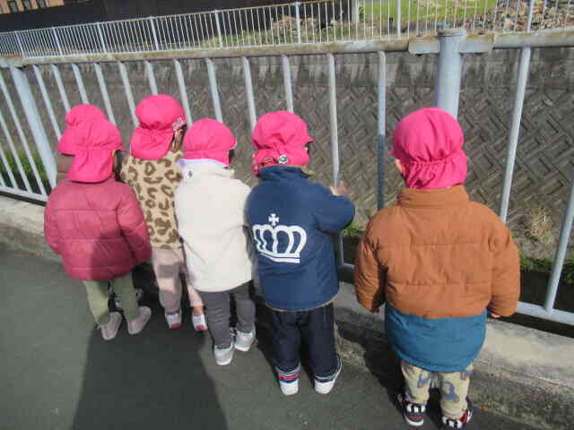 みんなで見ているものは・・・・