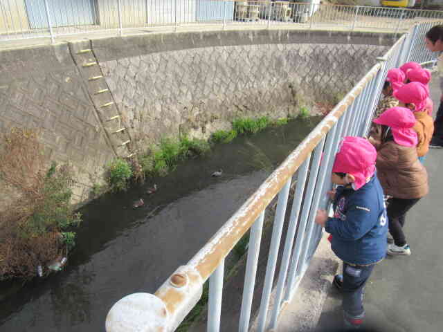 カモでした！！