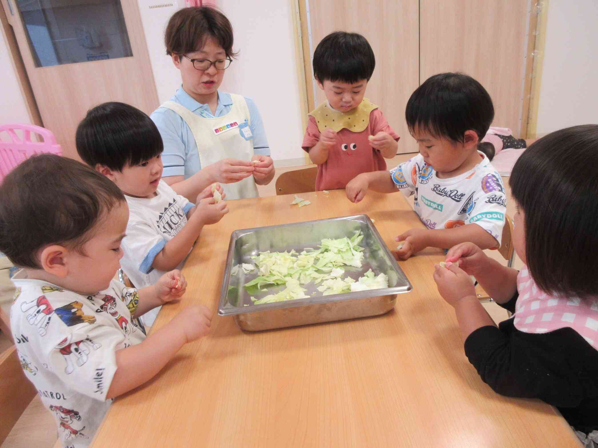 ６月の食育♪《キャベツちぎり》