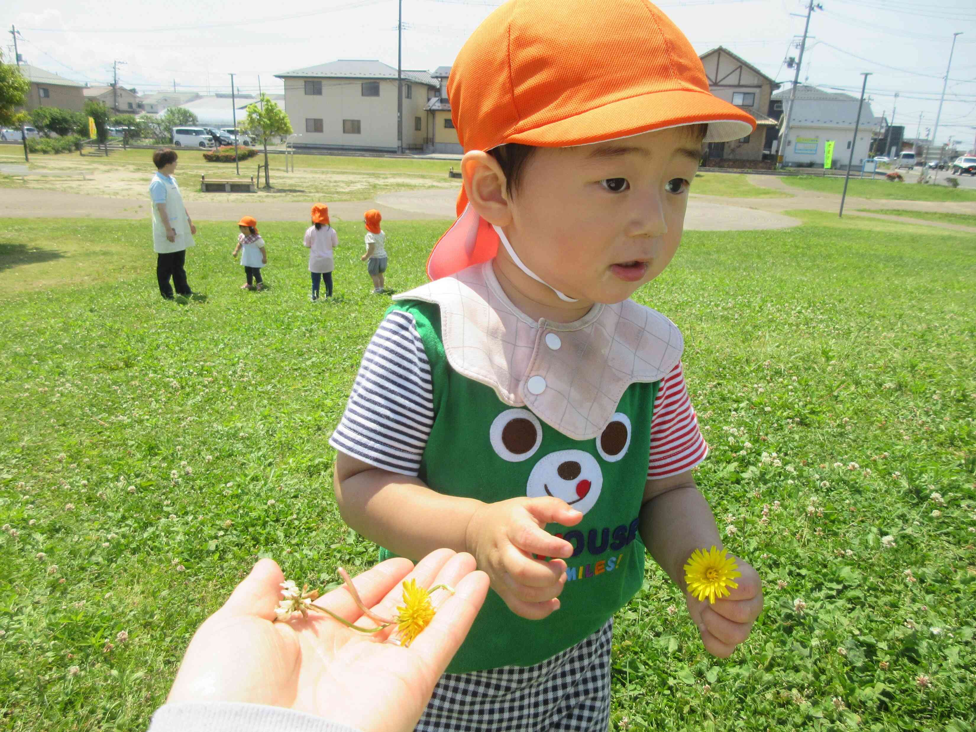先生からたんぽぽをもらったよ！