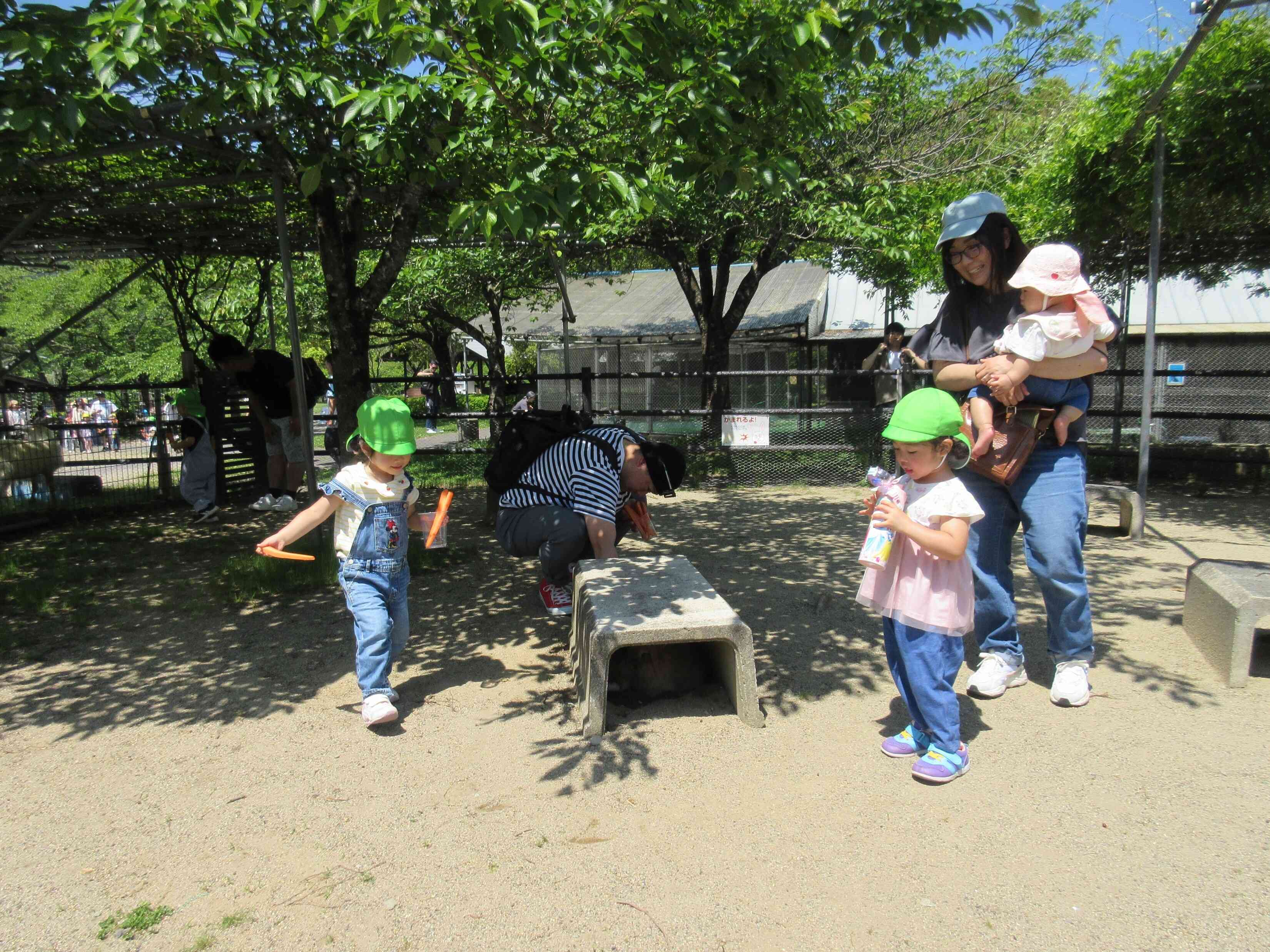 「うさぎさんにあげよーっと♪」