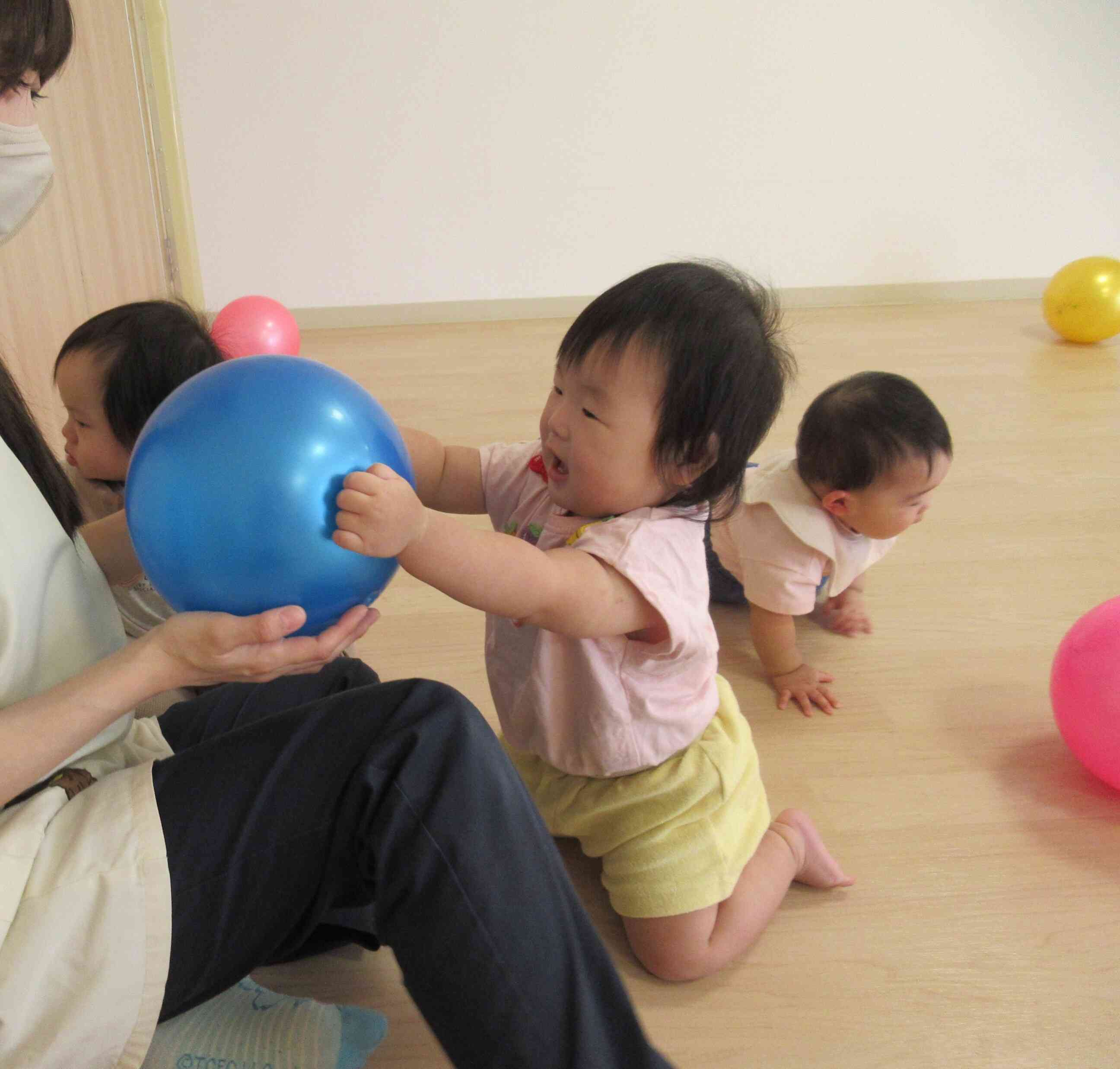 先生にどうぞしてくれたよ☆