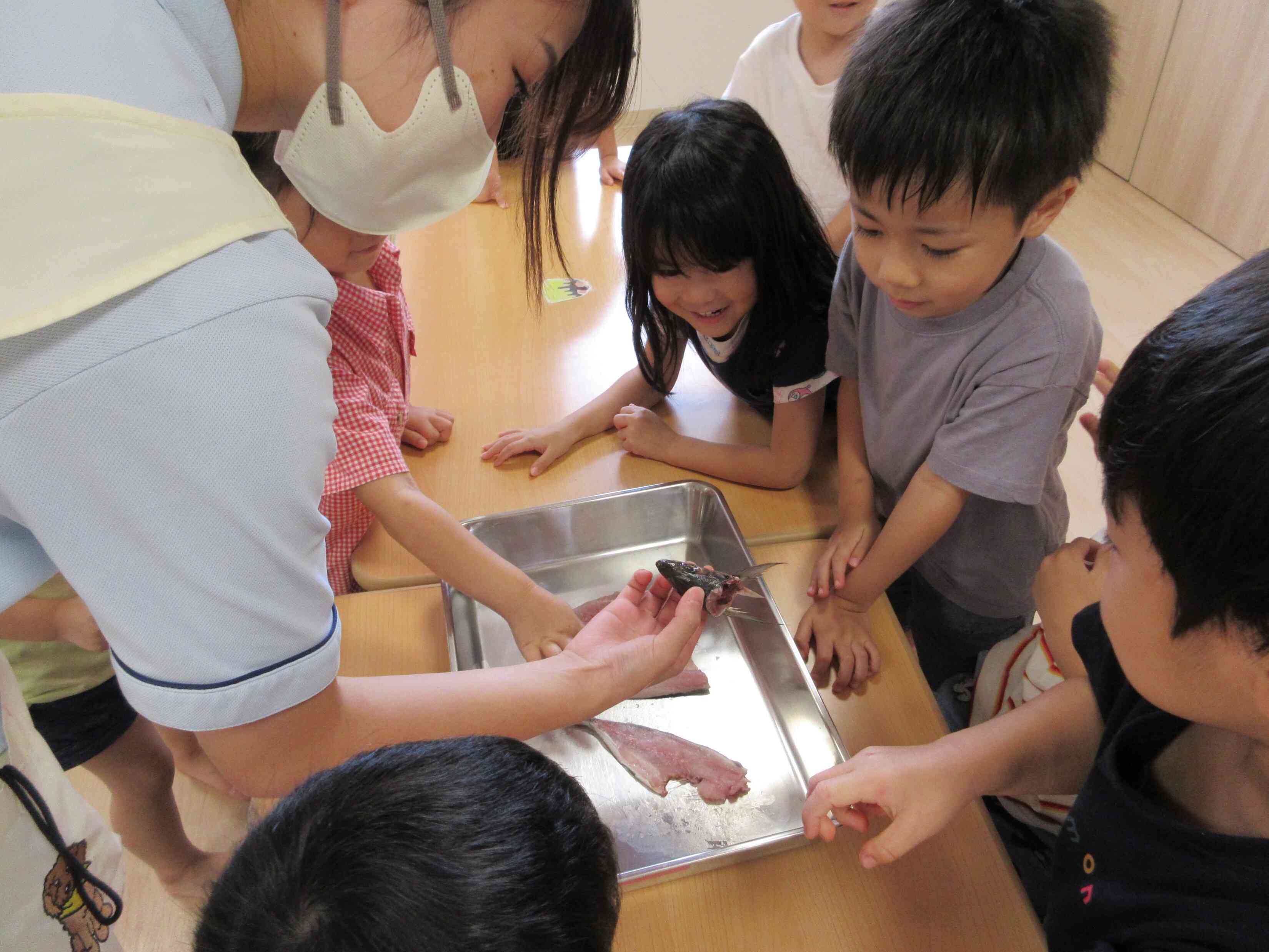 口の中はどうなってる？骨はどこにある？