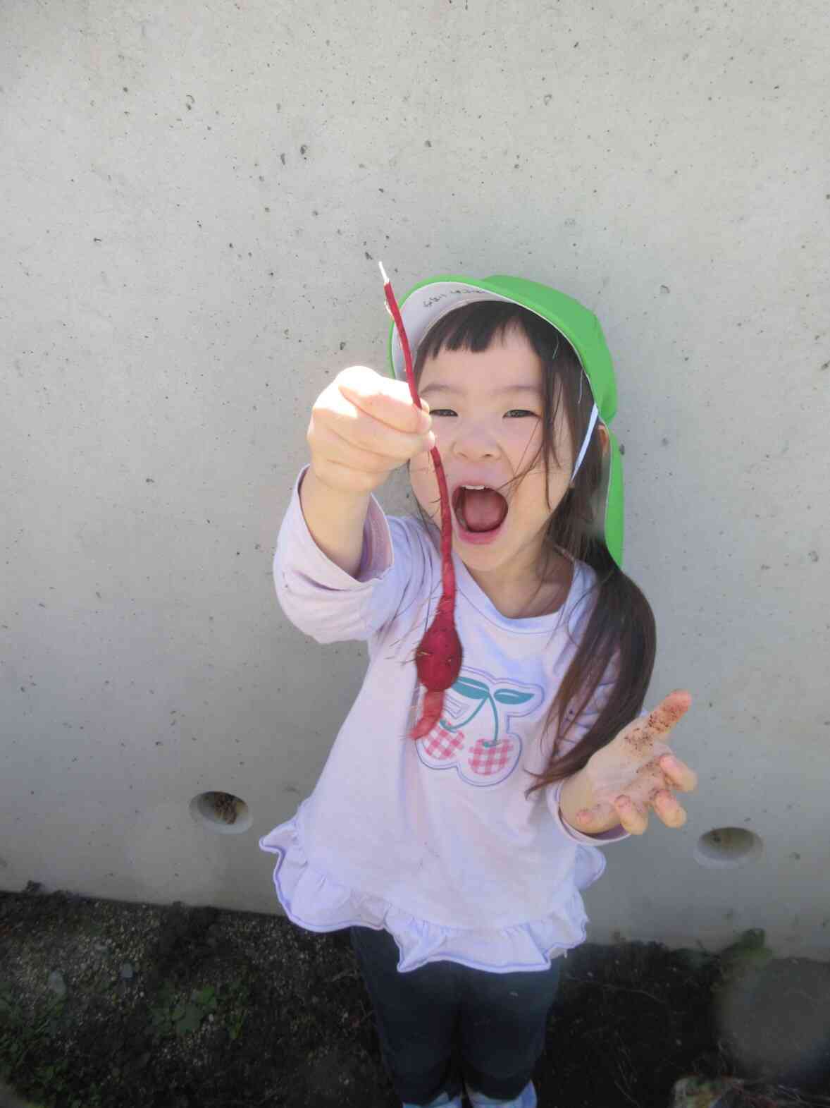 「こんなおイモがとれたー！！」