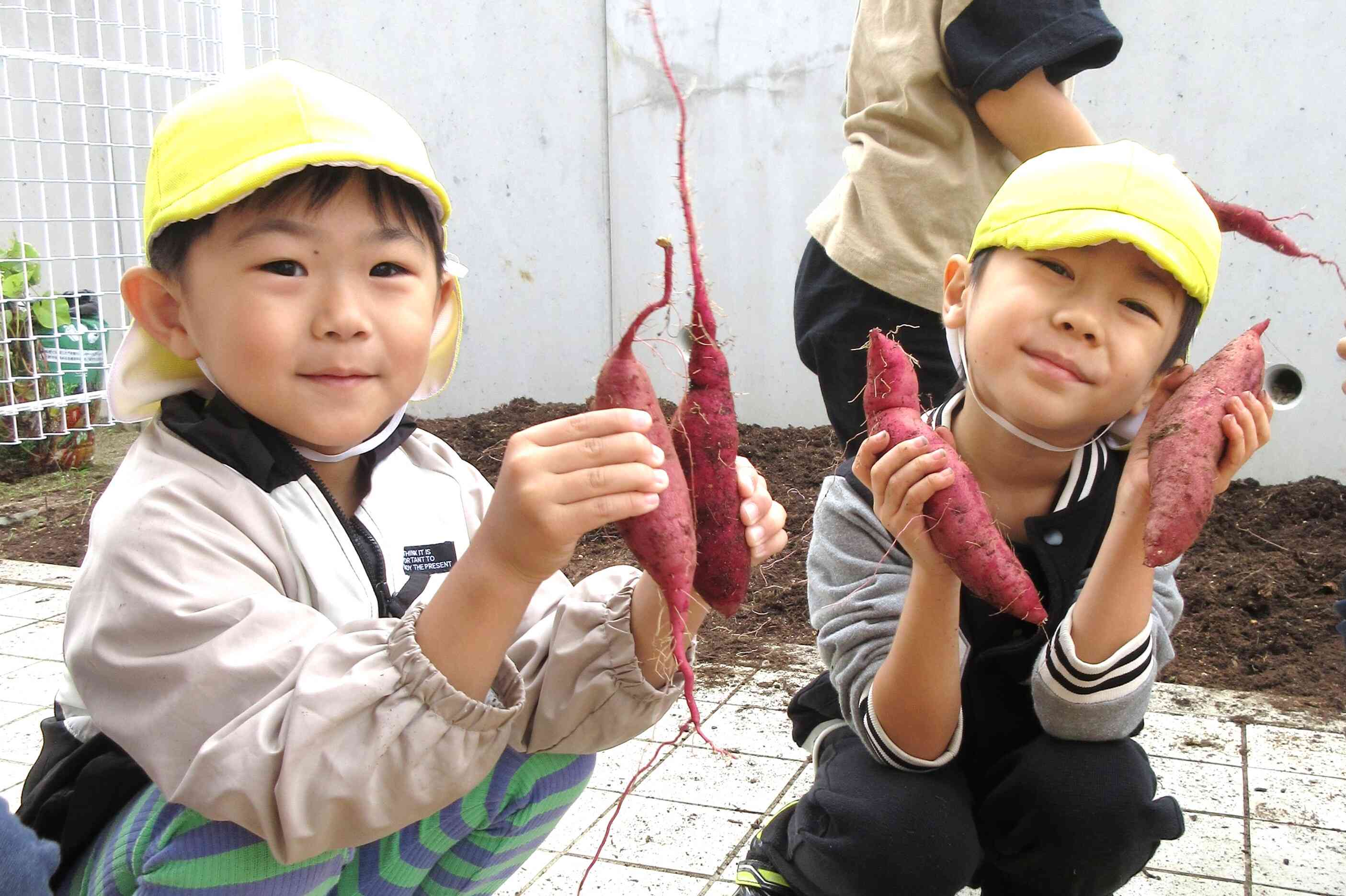 たくさん採れたね♪