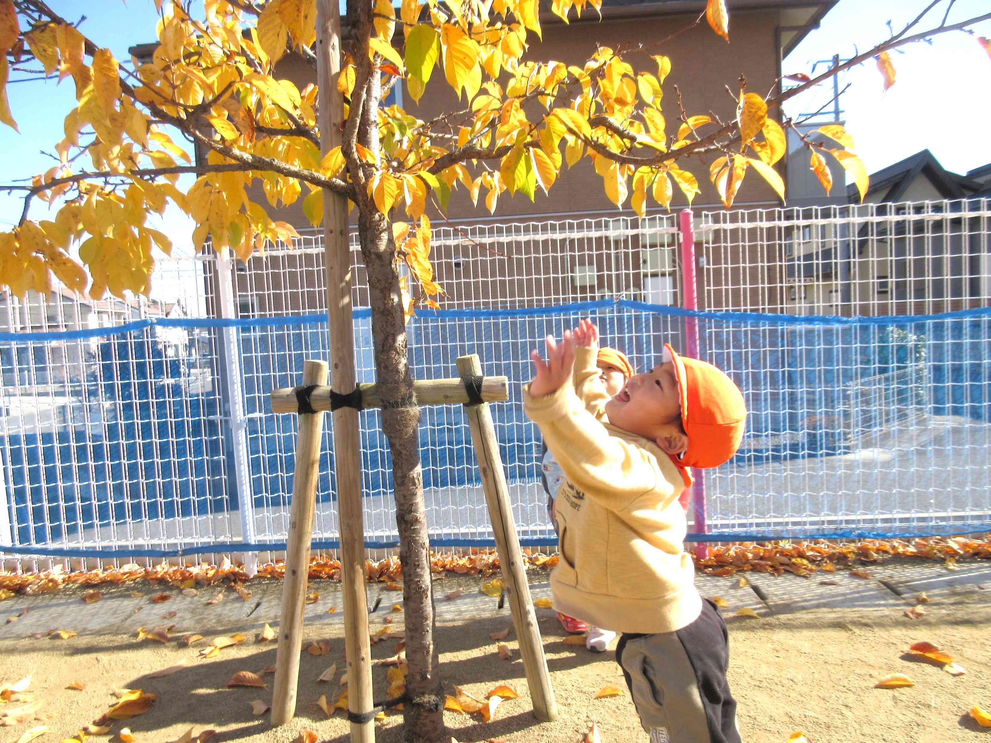 ニチイキッズ八山田西保育園