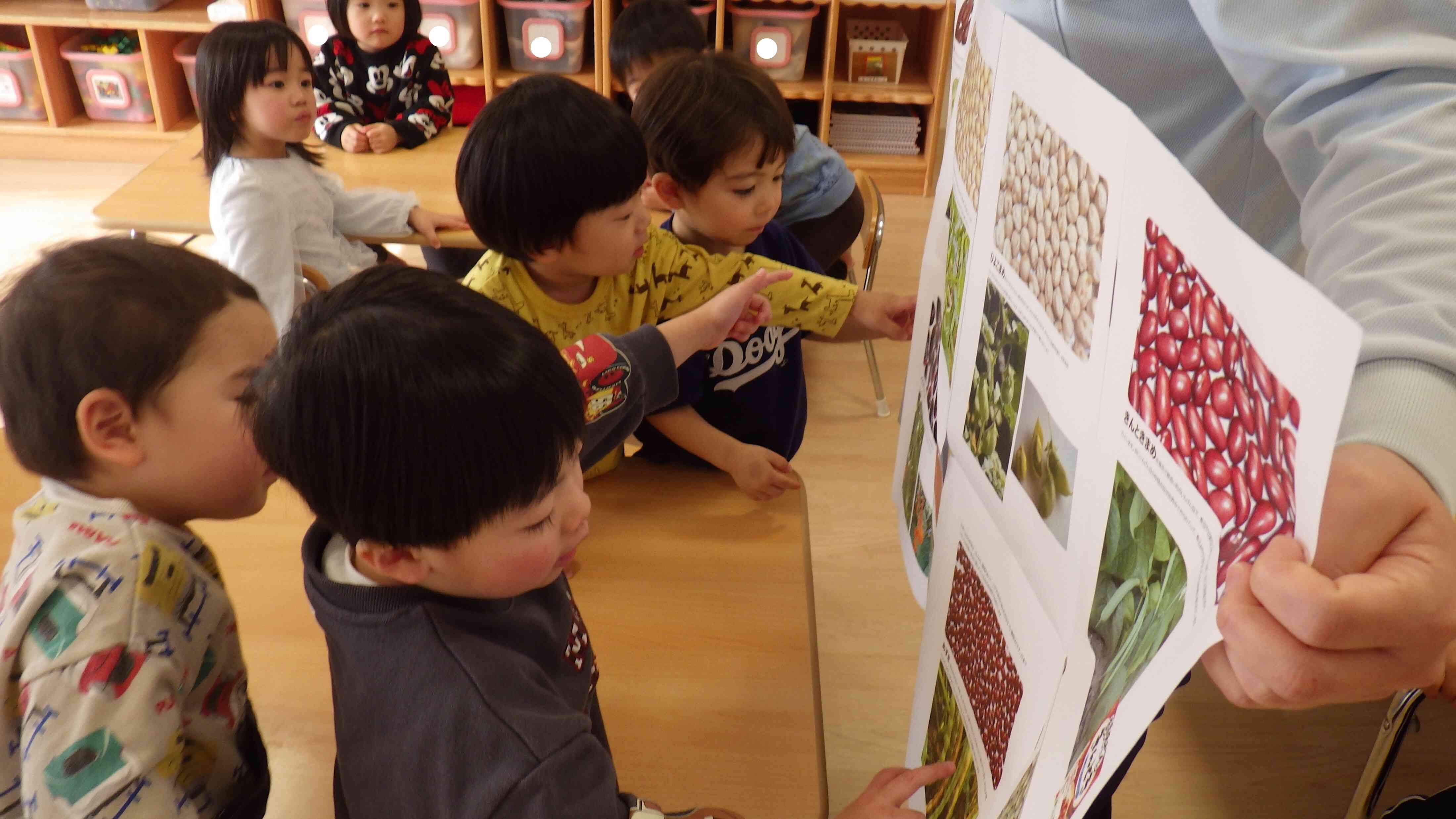 色んな豆があって、きれいだね☆